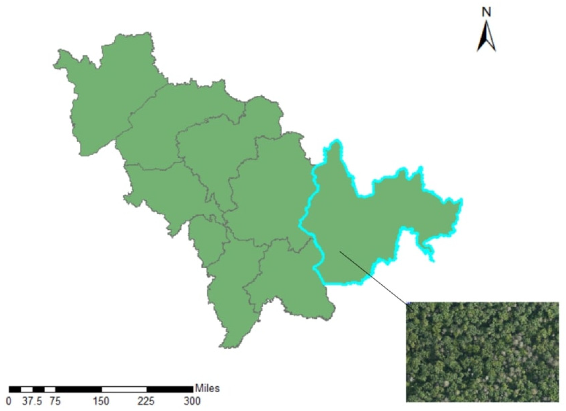 Forests 16 00382 g001