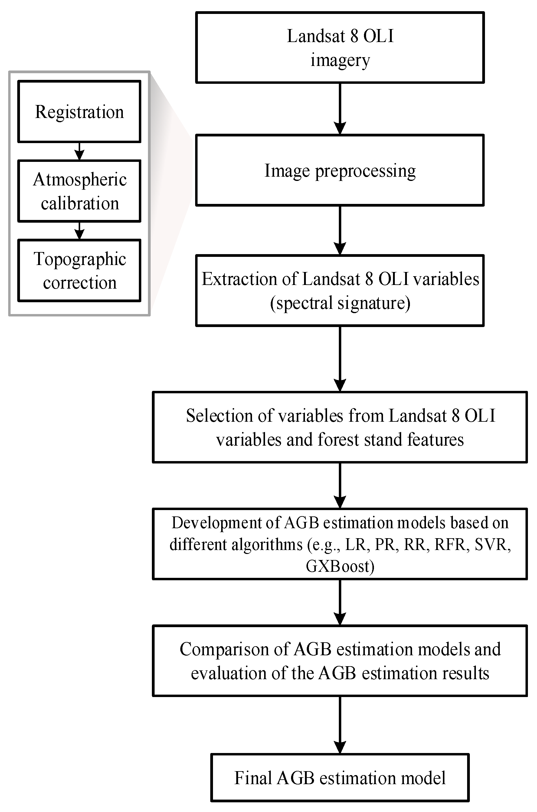 Forests 16 00384 g001
