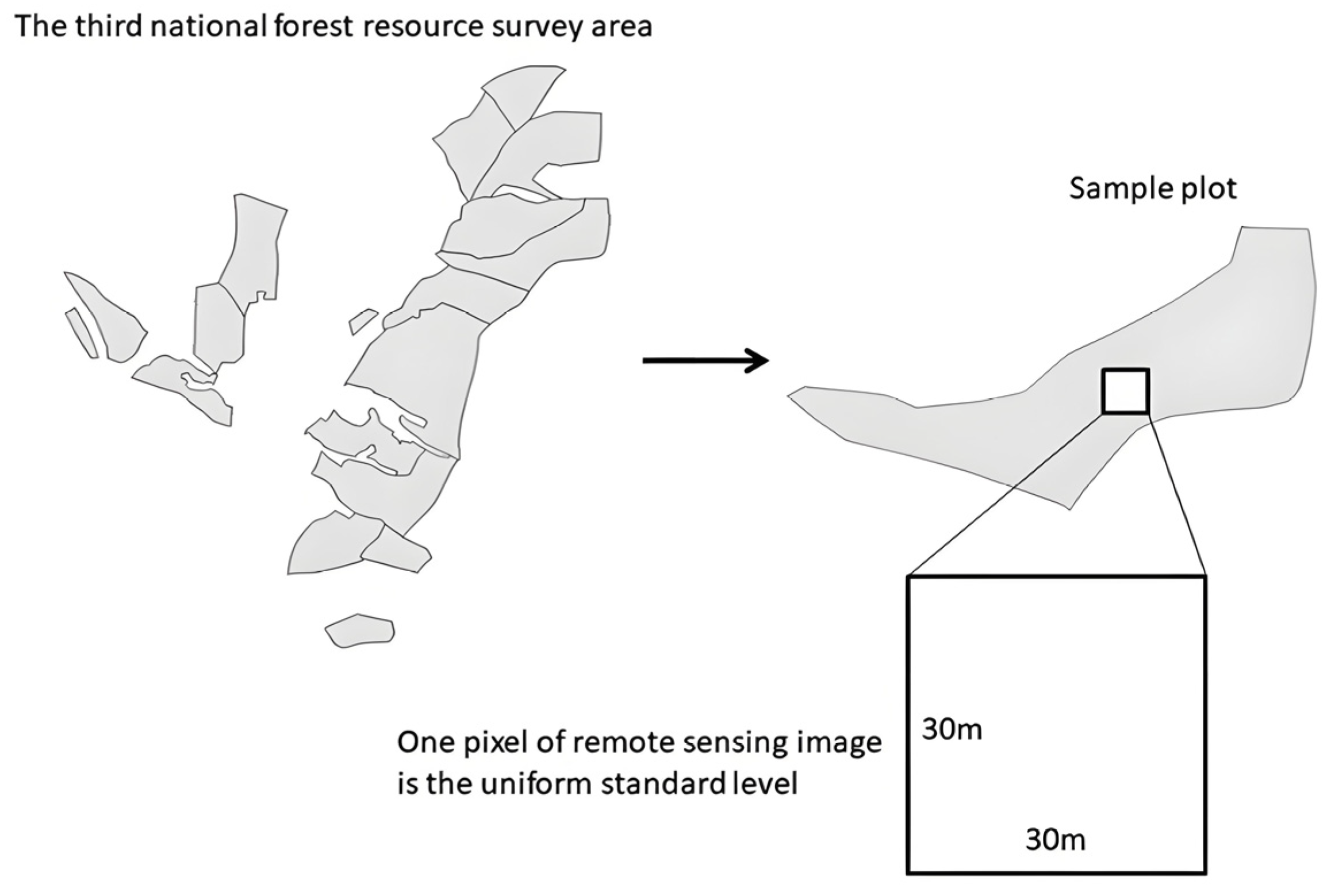 Forests 16 00384 g003