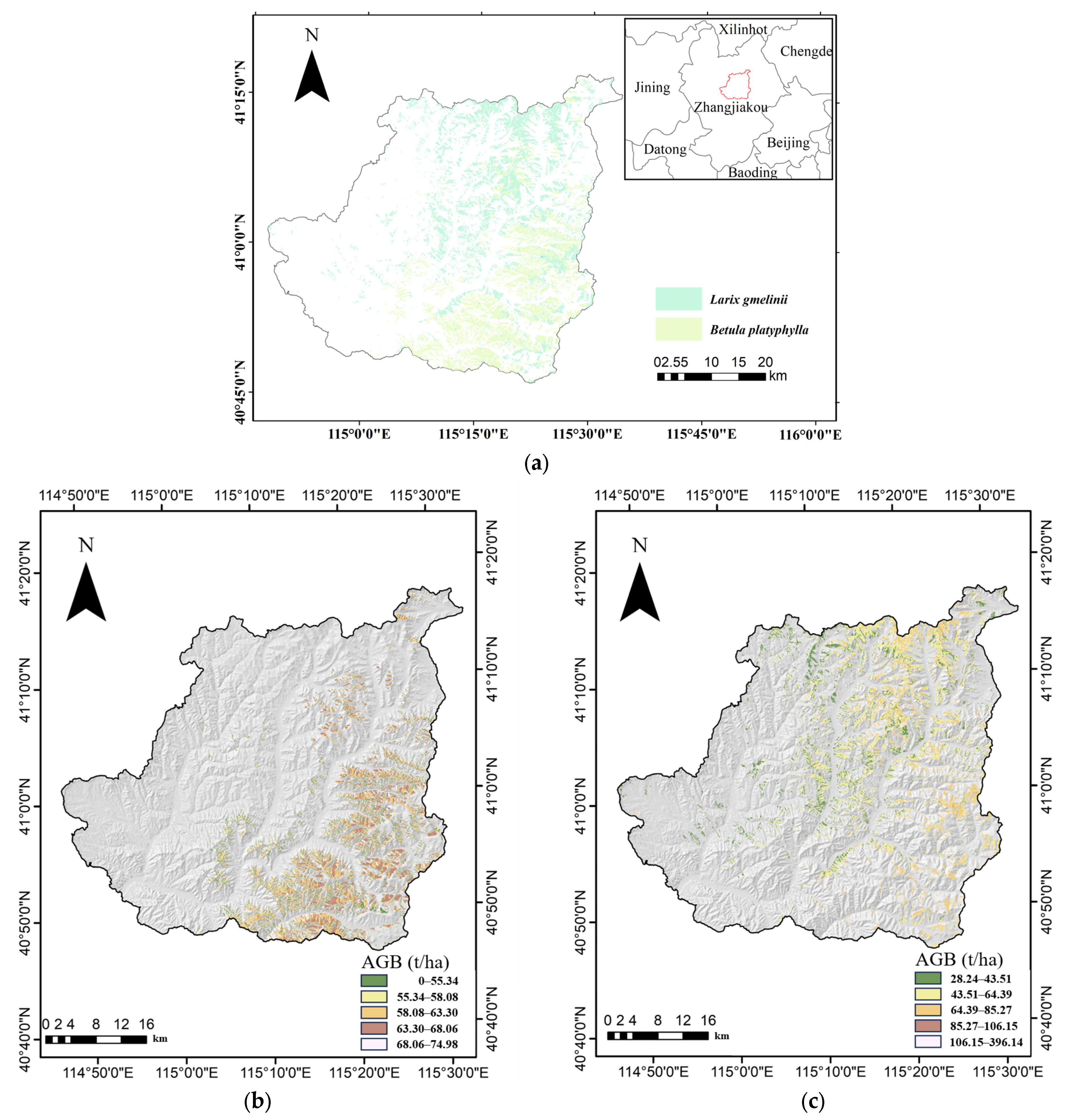 Forests 16 00384 g006