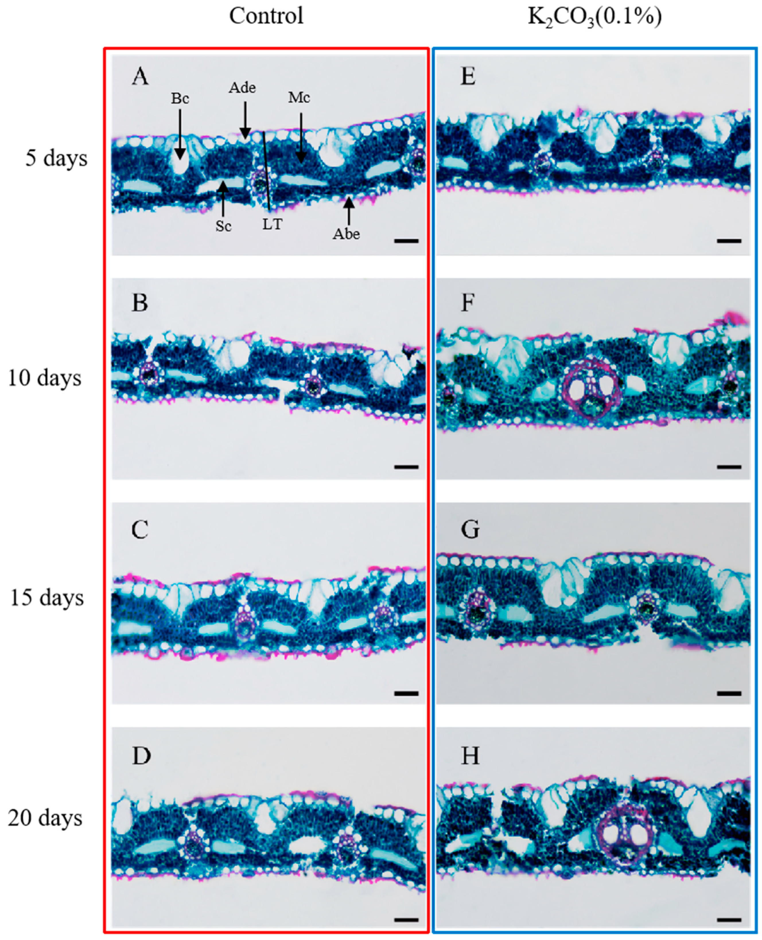 Forests 16 00388 g002