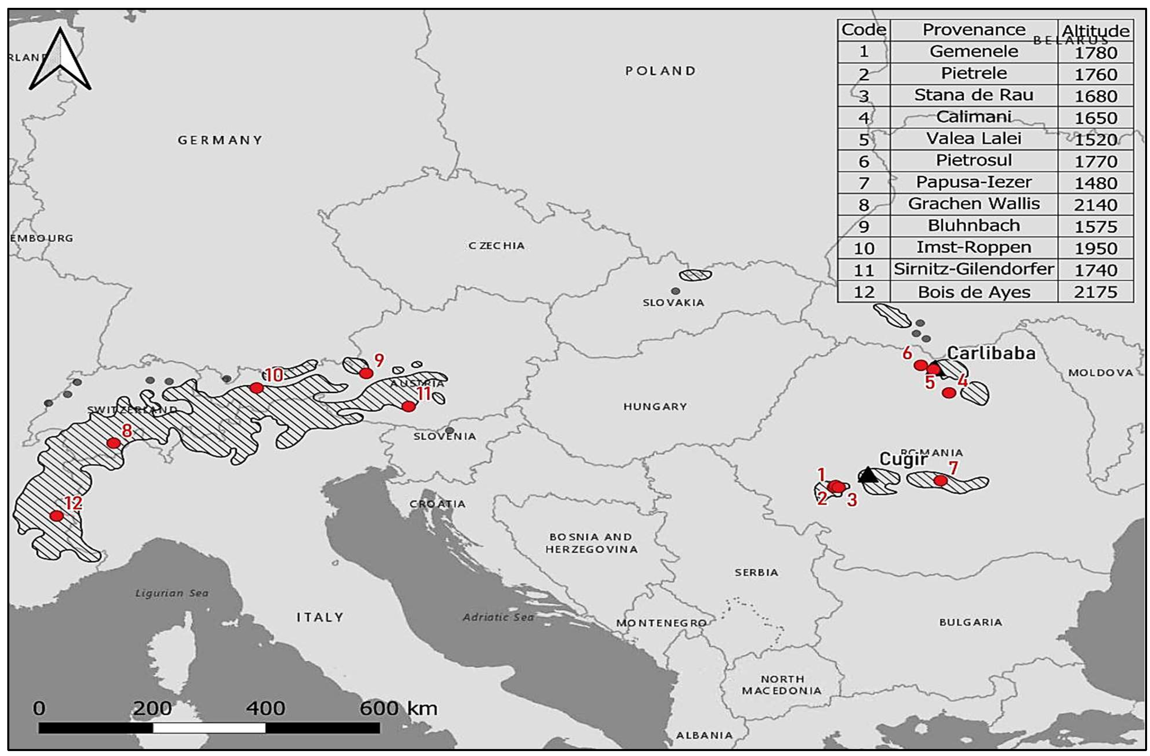 Forests 16 00391 g001 Forests 16 00391 g001