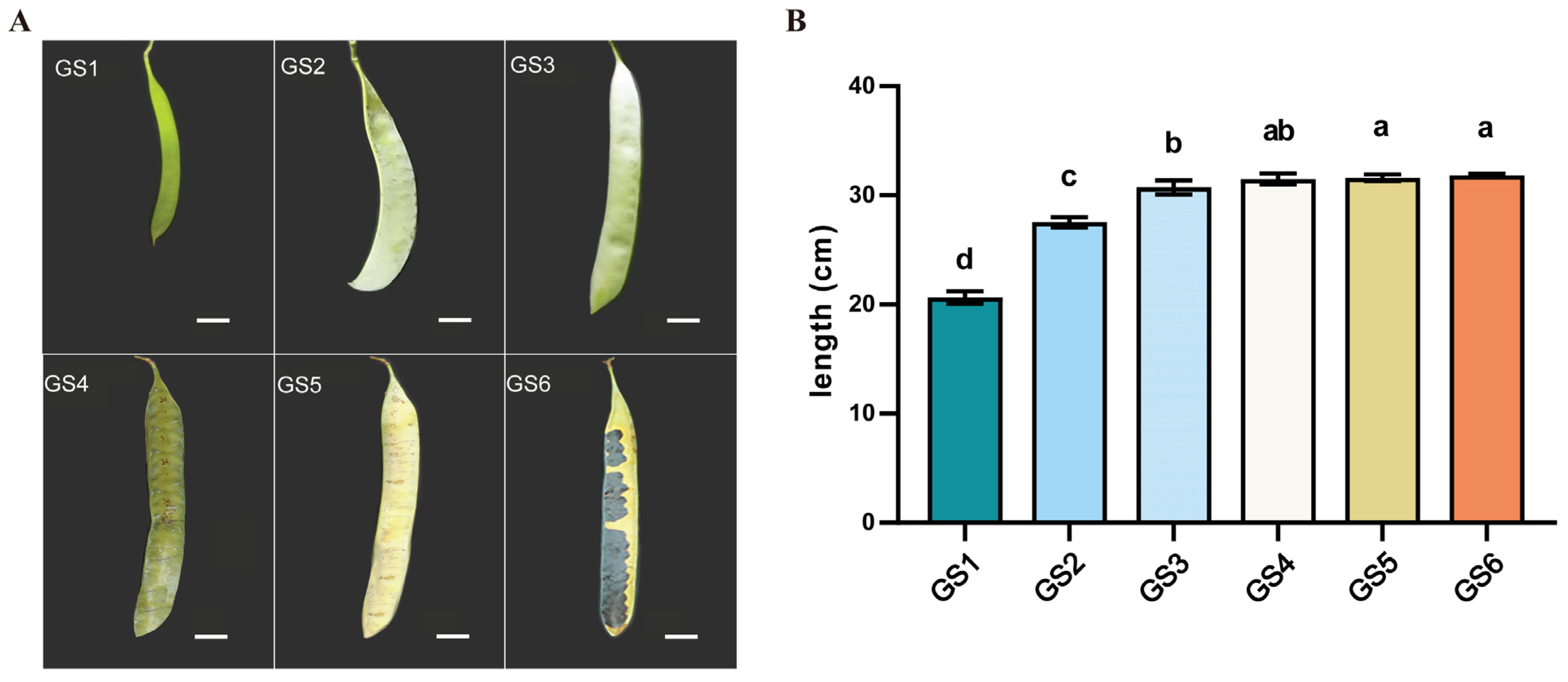 Forests 16 00393 g001