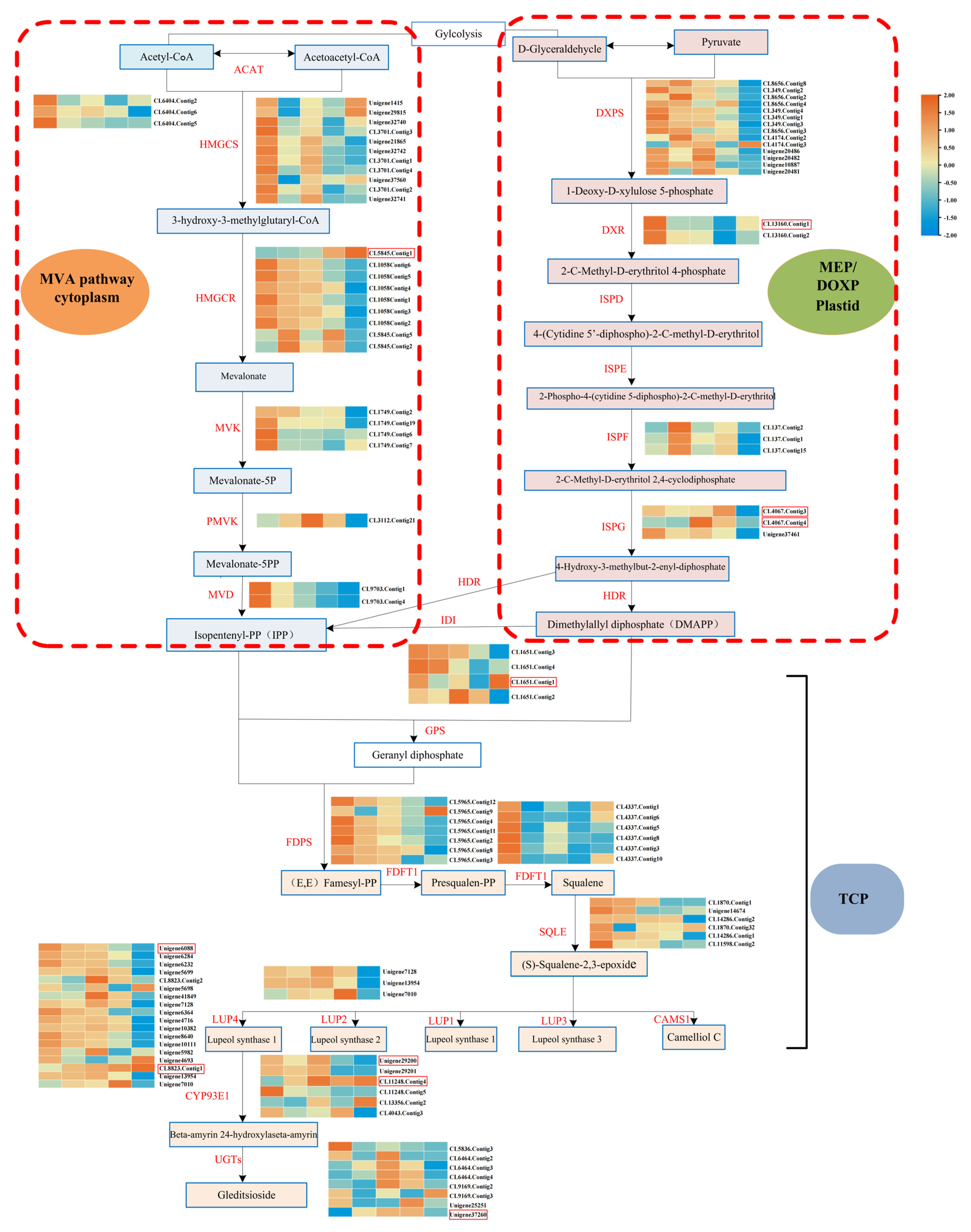 Forests 16 00393 g003