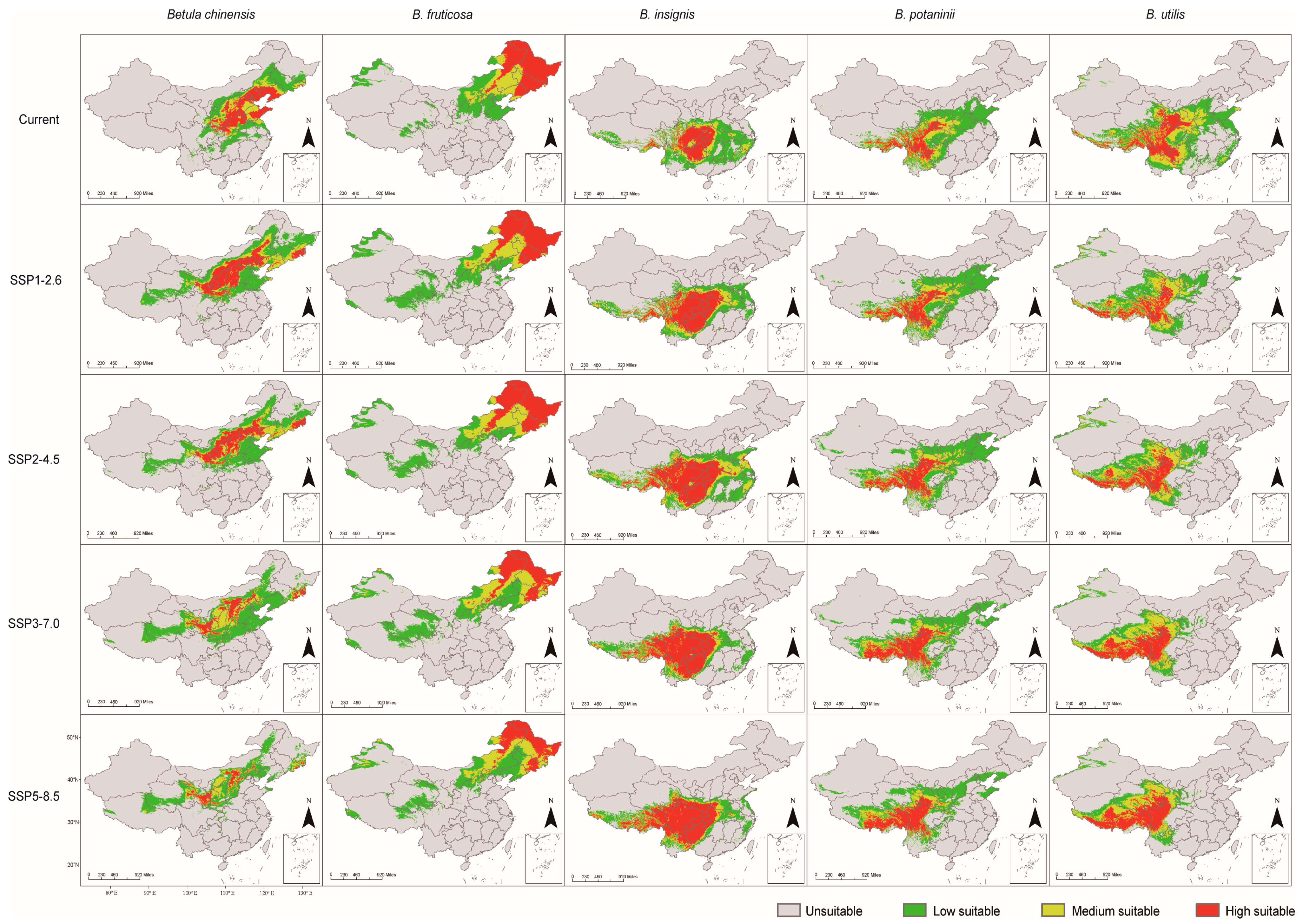 Forests 16 00400 g003
