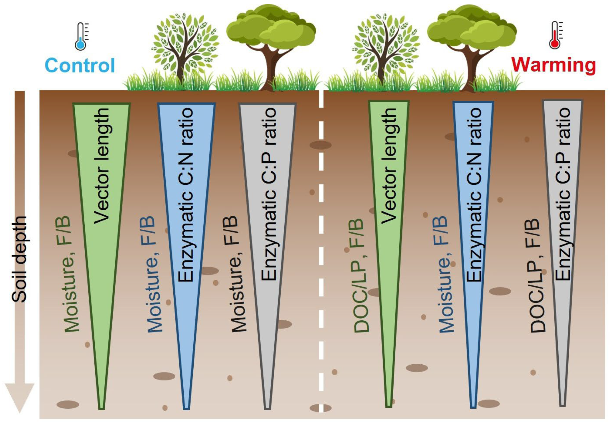Forests 16 00402 g006
