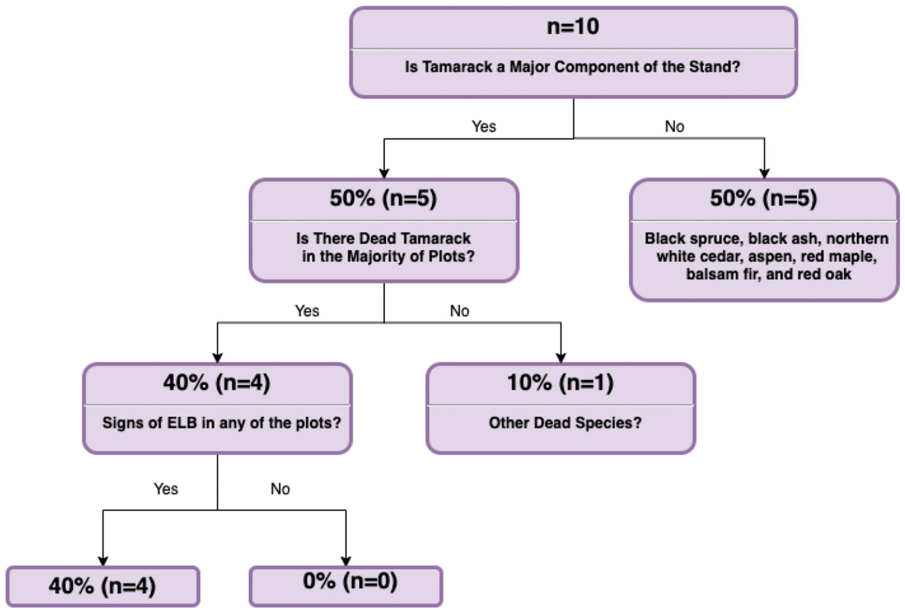 Forests 16 00403 g002