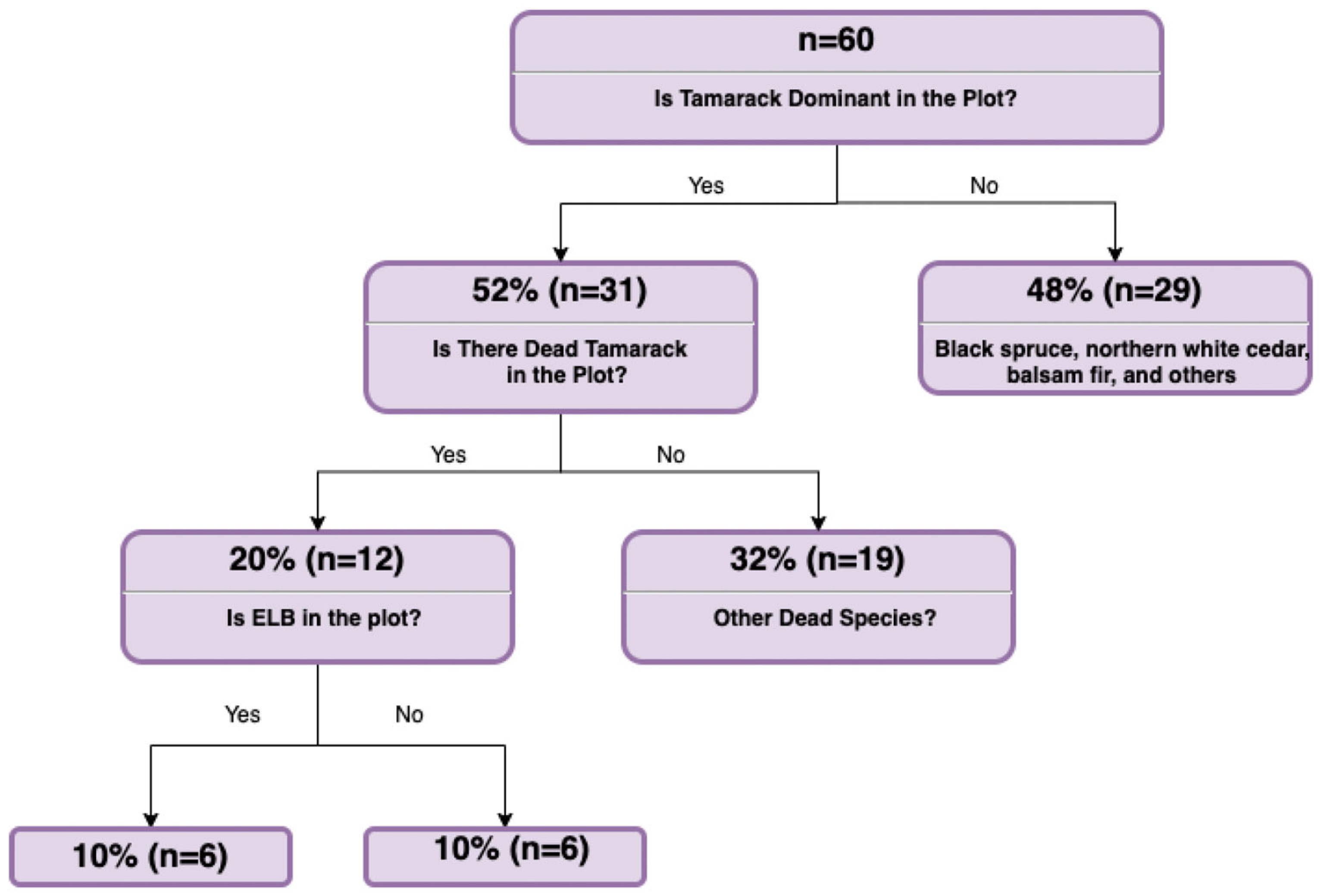 Forests 16 00403 g005