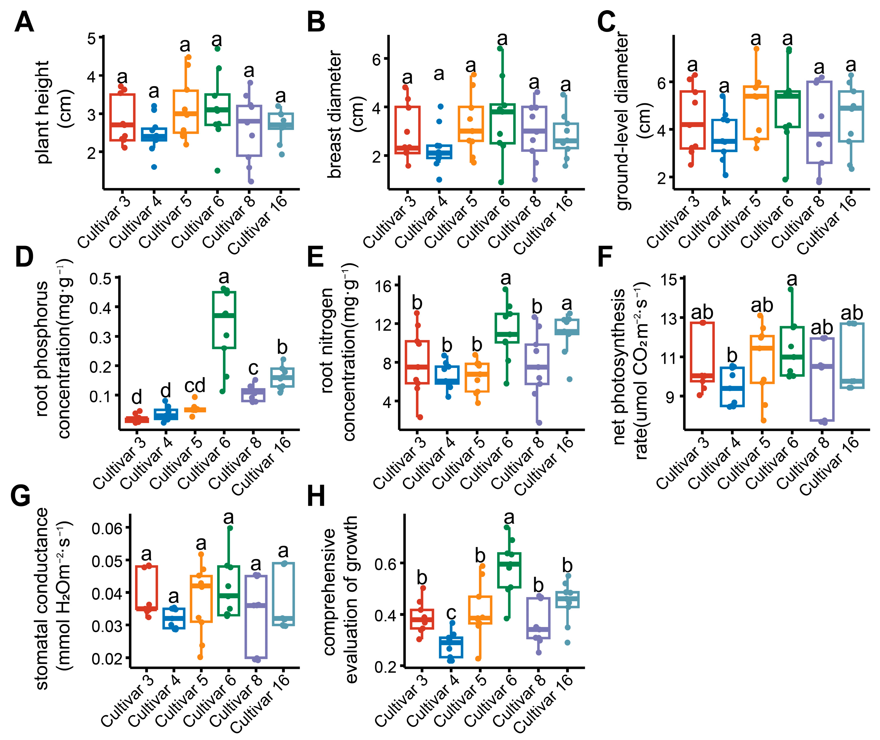 Forests 16 00404 g001