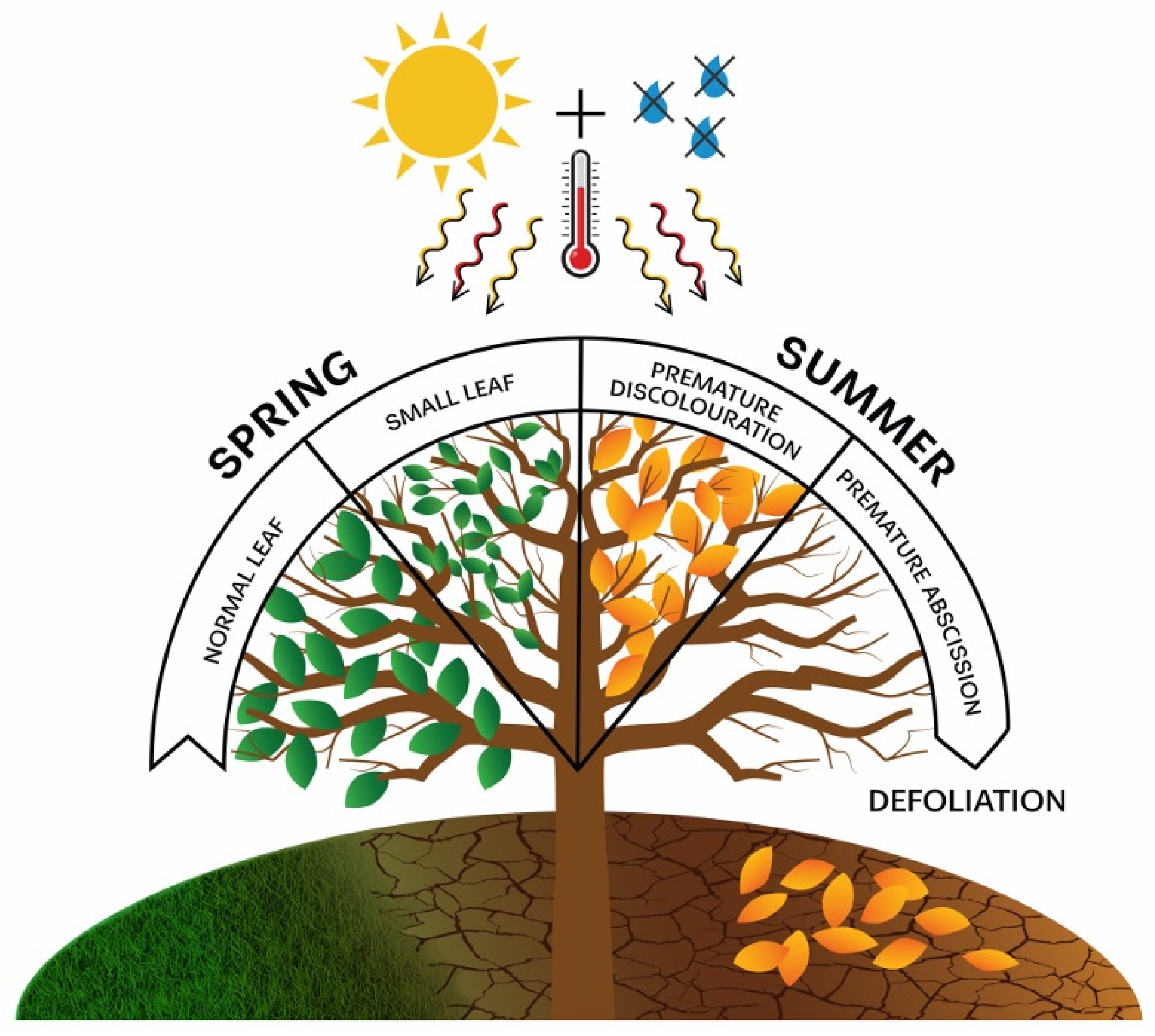 Forests 16 00405 g001