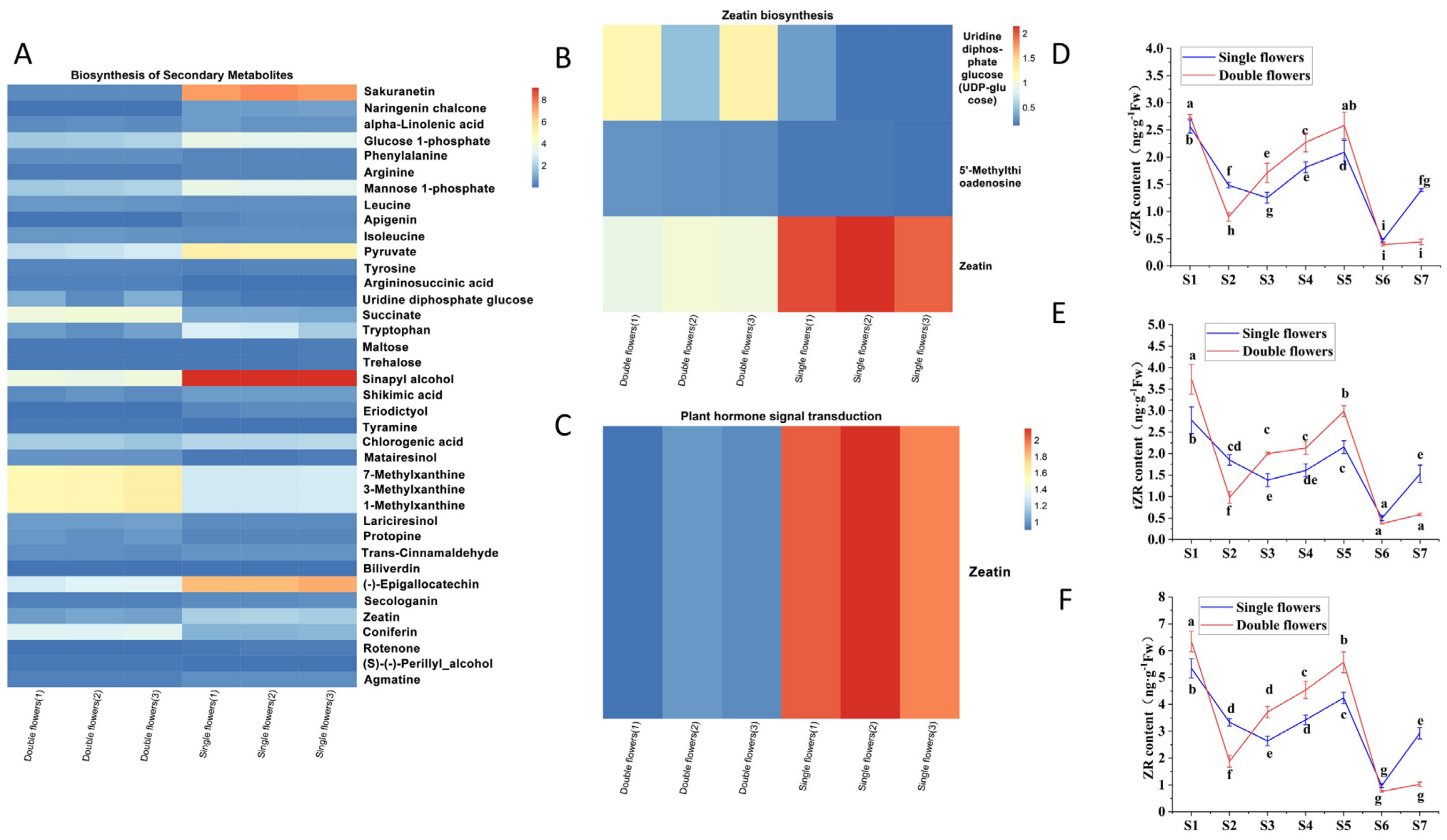 Forests 16 00409 g011