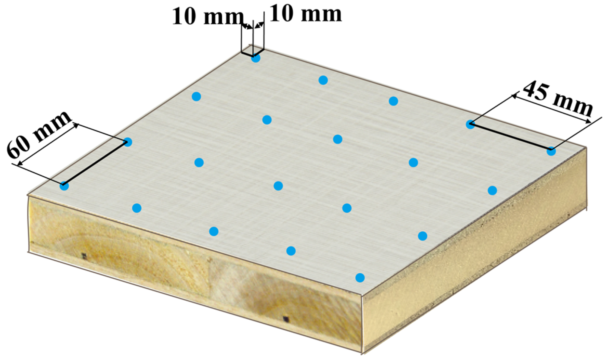 Forests 16 00411 g002 Forests 16 00411 g002