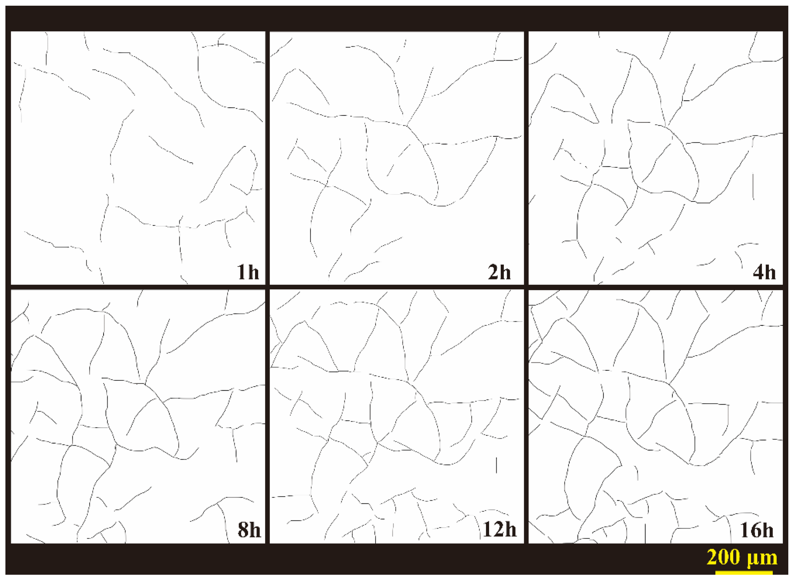 Forests 16 00411 g004 Forests 16 00411 g004