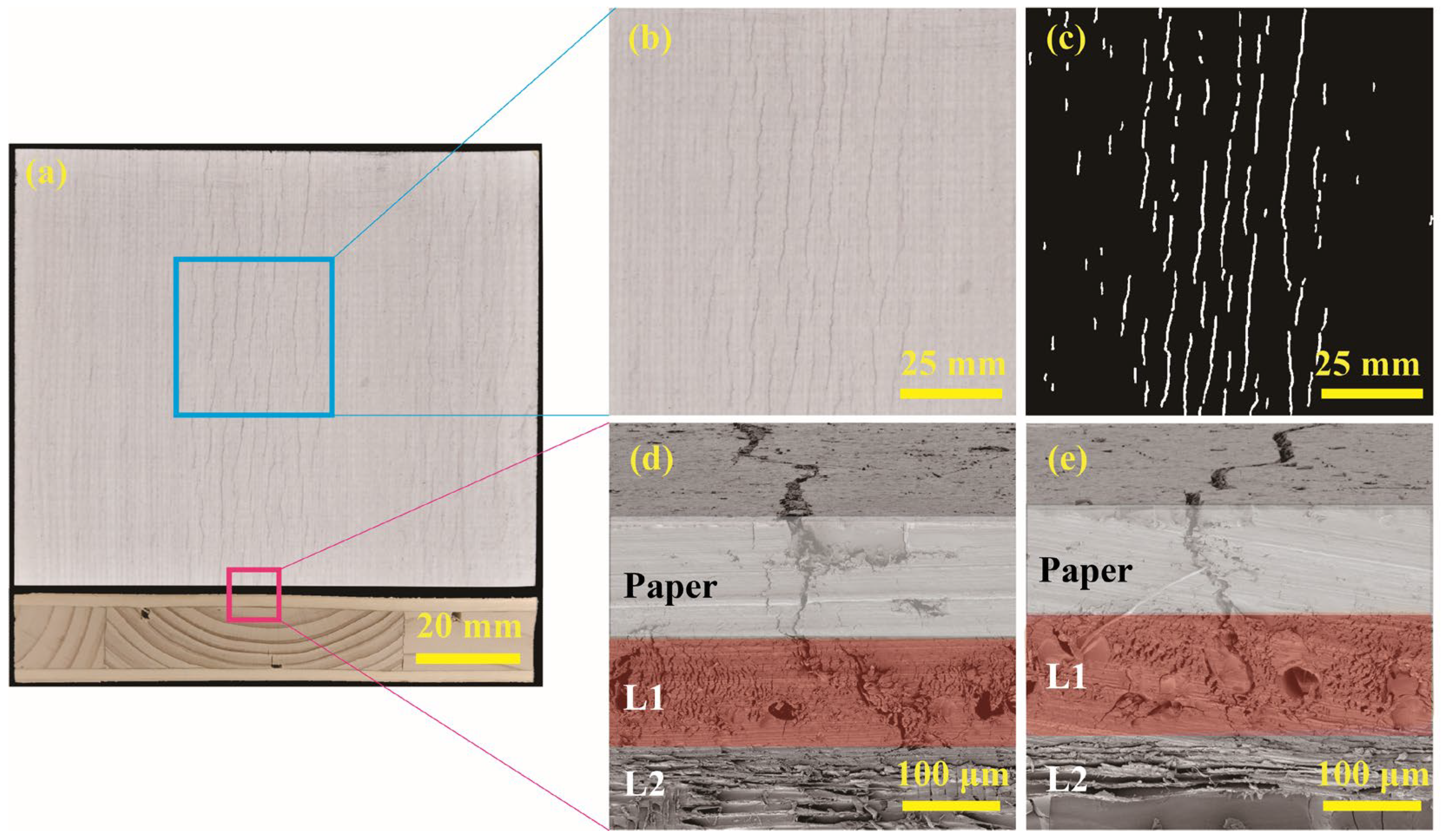 Forests 16 00411 g005 Forests 16 00411 g005
