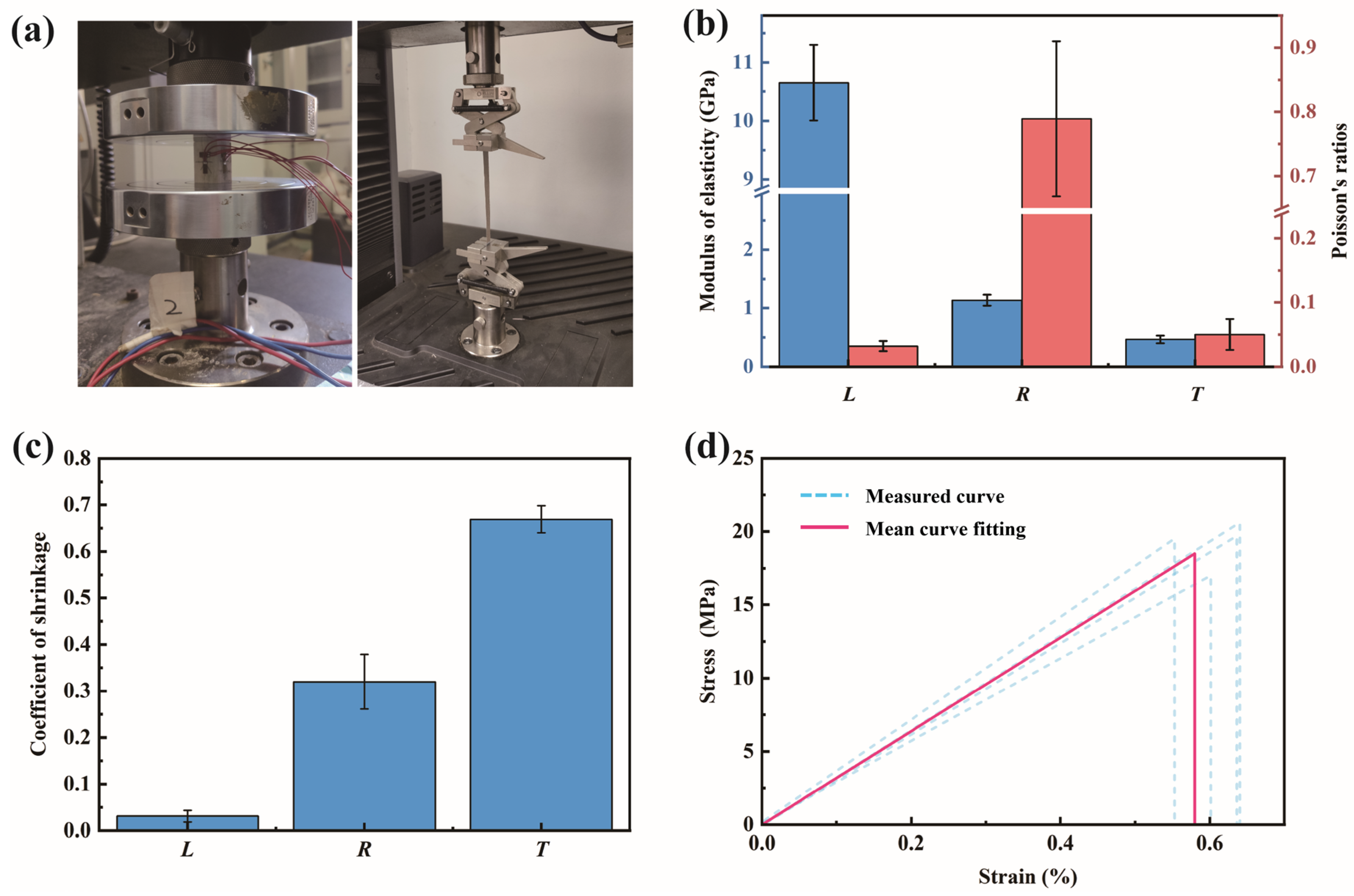 Forests 16 00411 g006 Forests 16 00411 g006