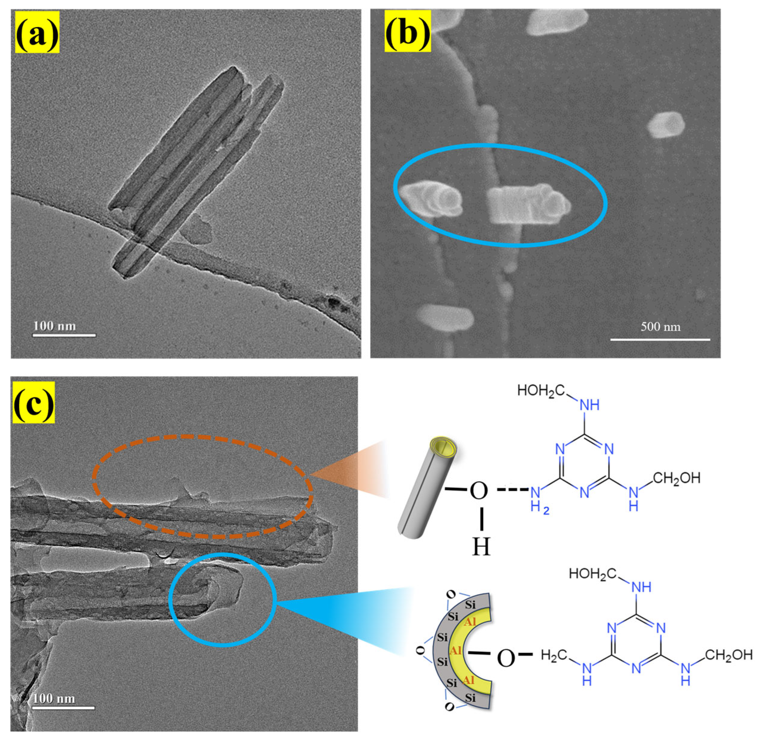 Forests 16 00411 g009 Forests 16 00411 g009