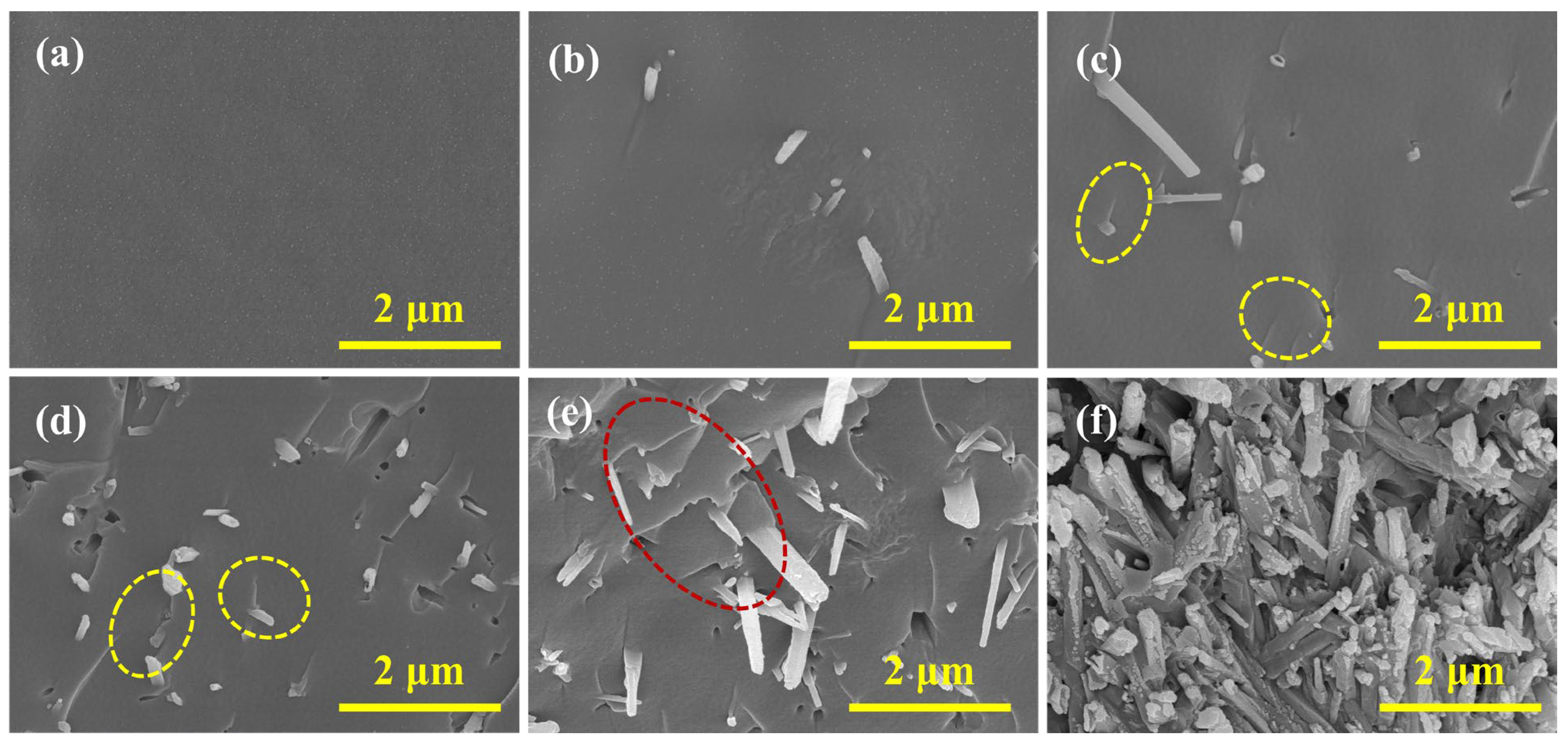 Forests 16 00411 g012 Forests 16 00411 g012