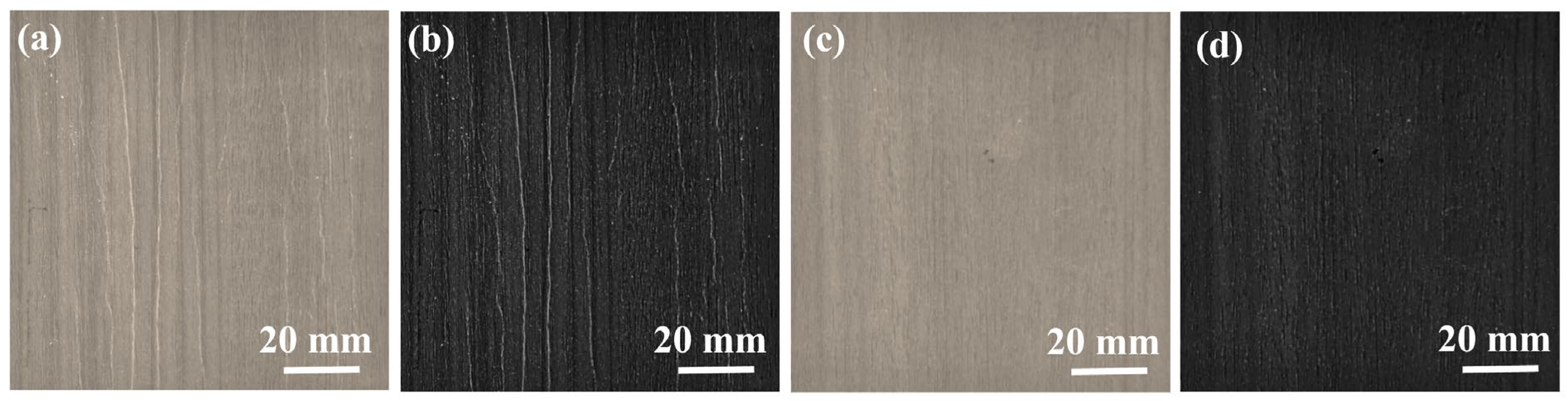 Forests 16 00411 g013 Forests 16 00411 g013