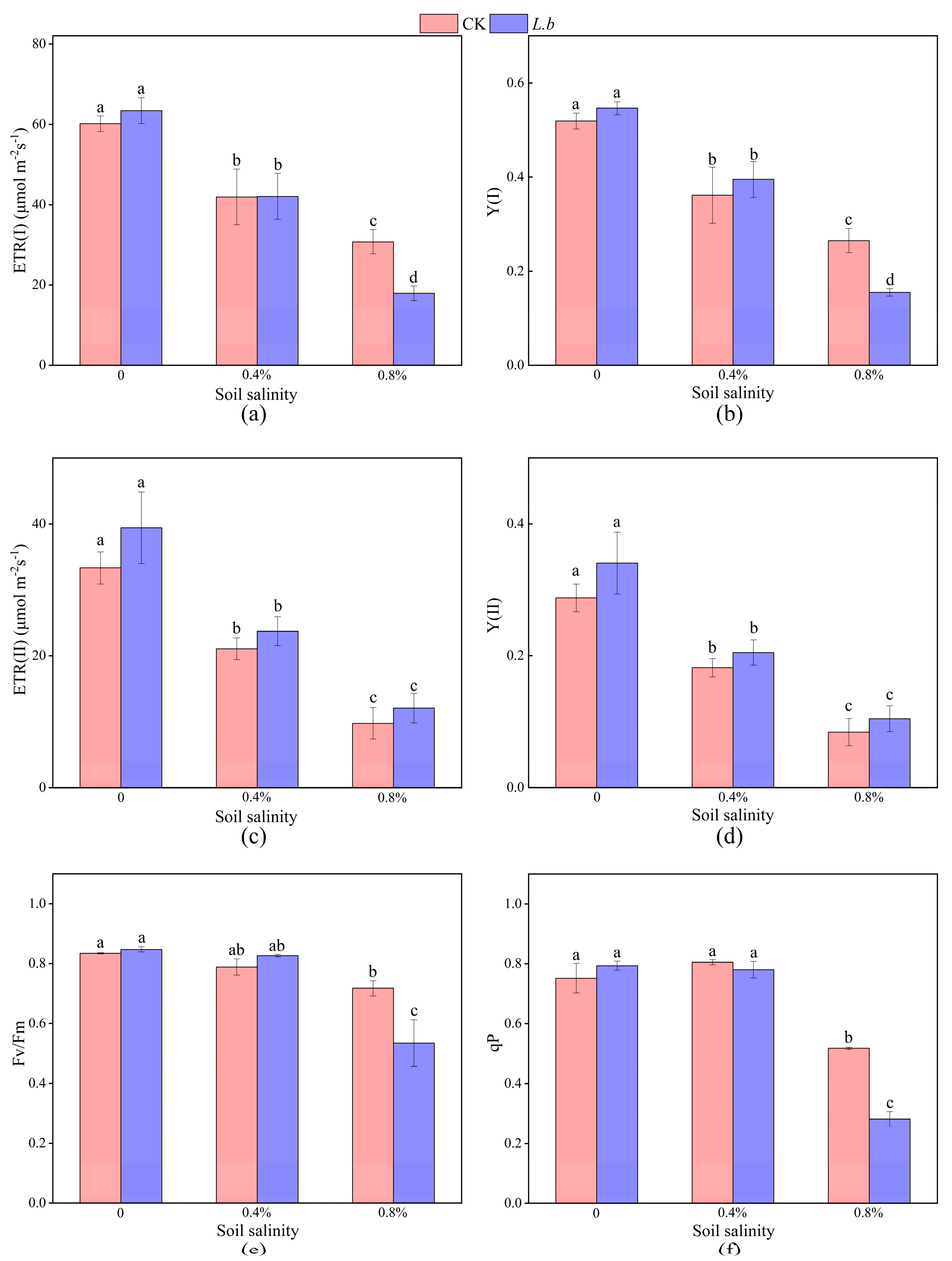 Forests 16 00413 g006