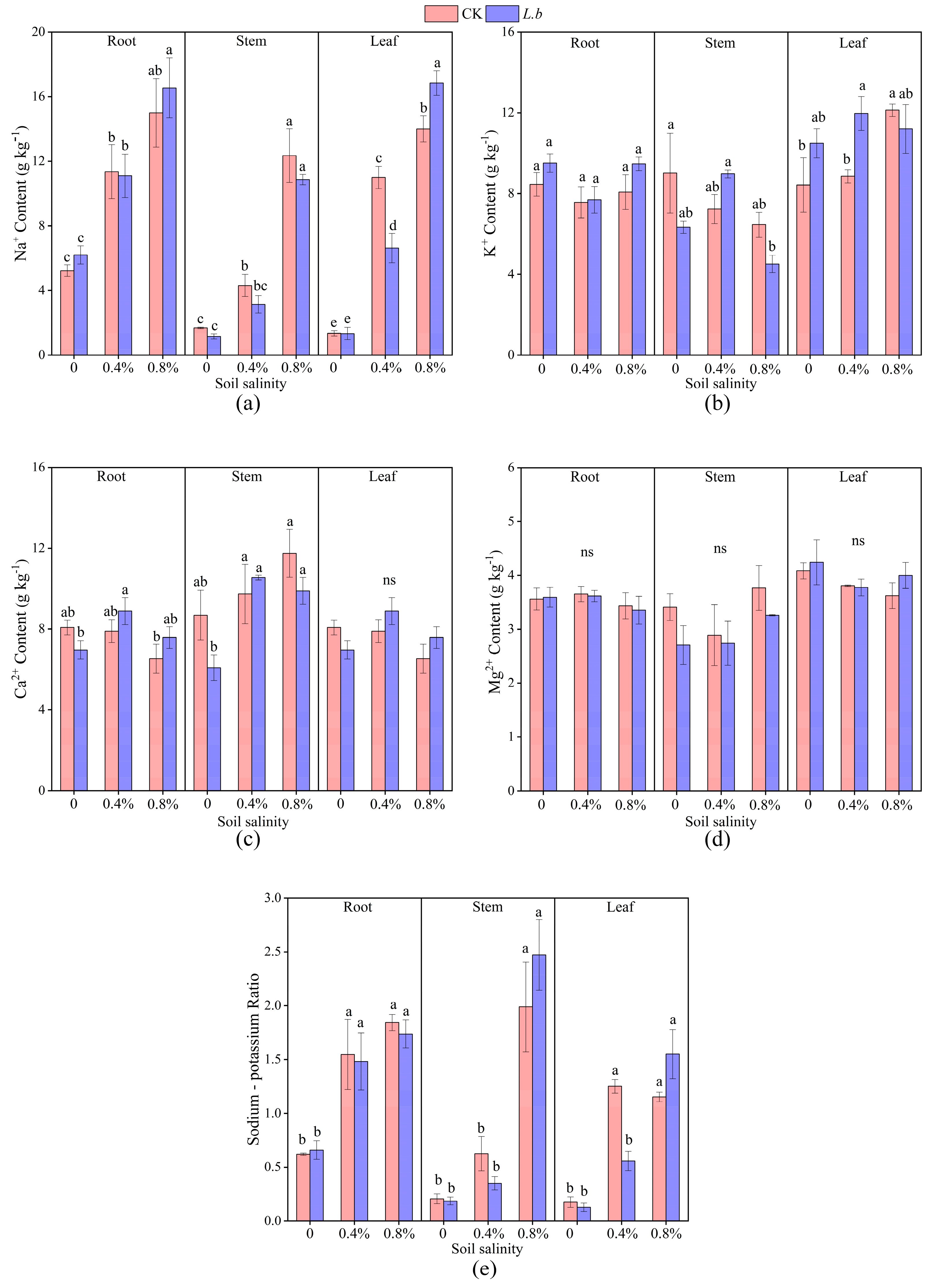 Forests 16 00413 g007