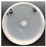 Forests 16 00413 i002