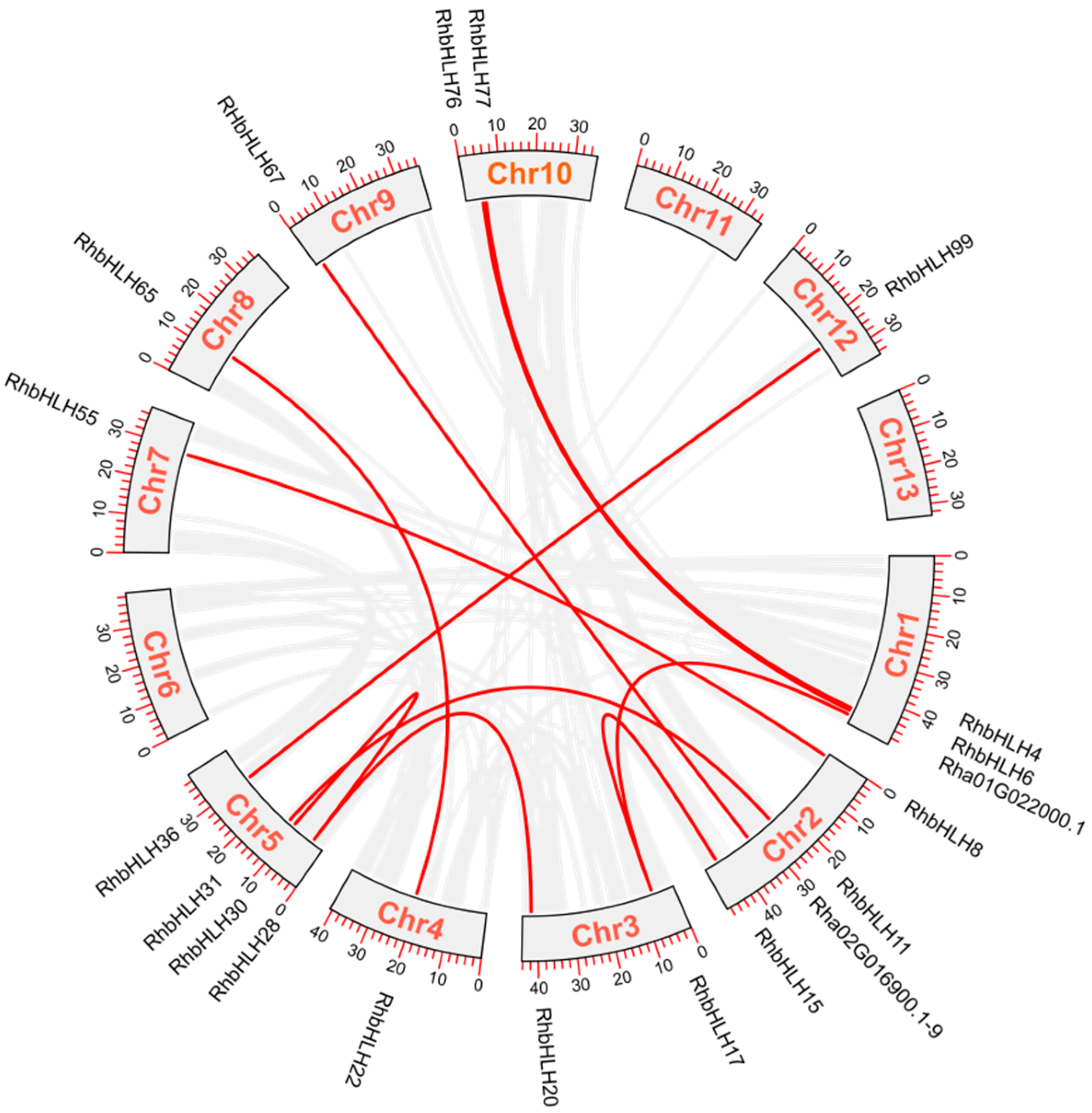 Forests 16 00416 g005