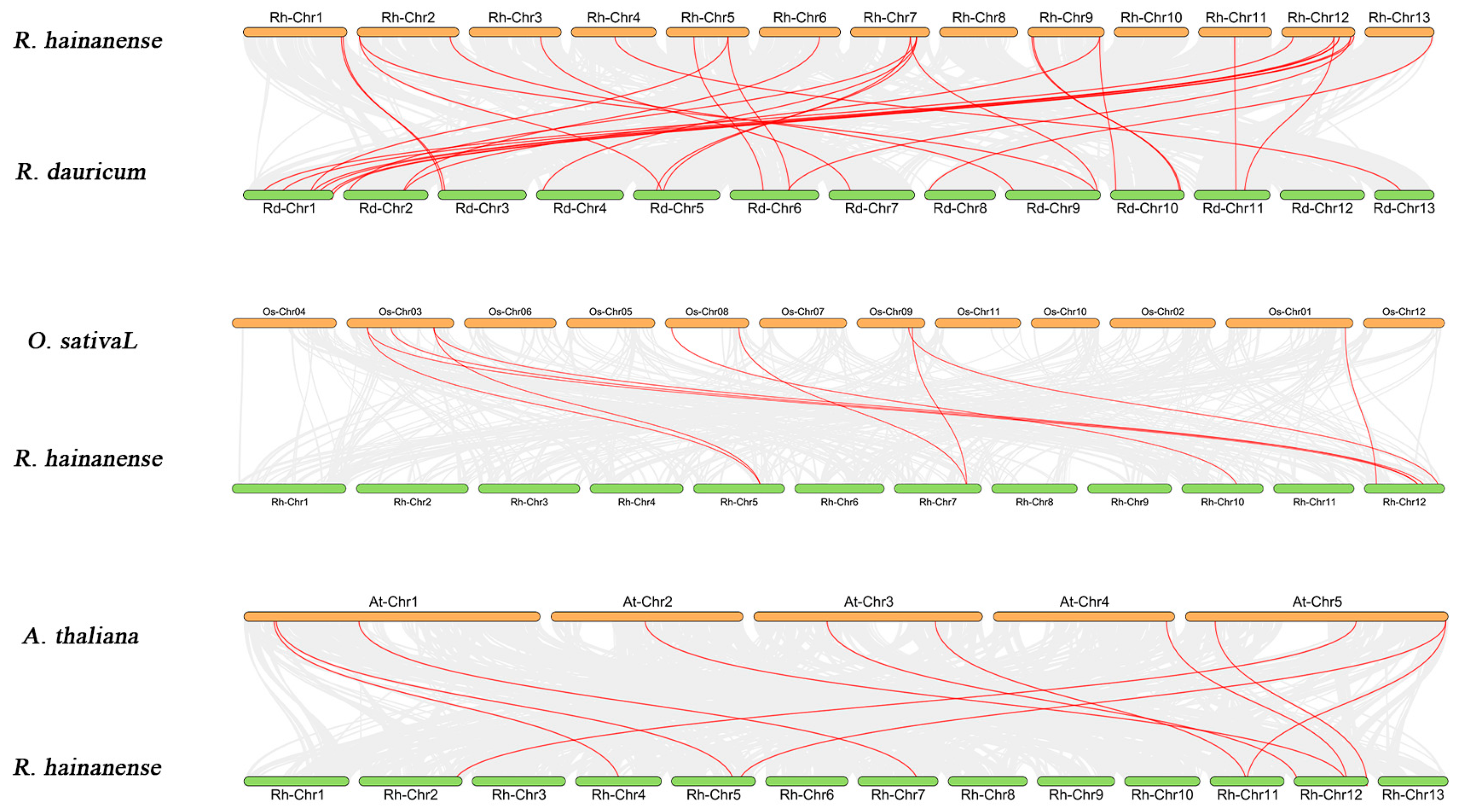 Forests 16 00416 g006