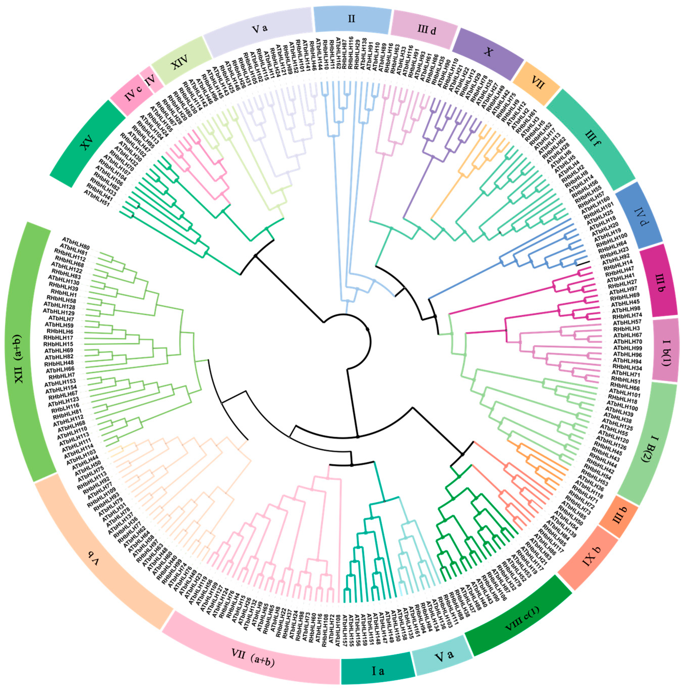 Forests 16 00416 g007