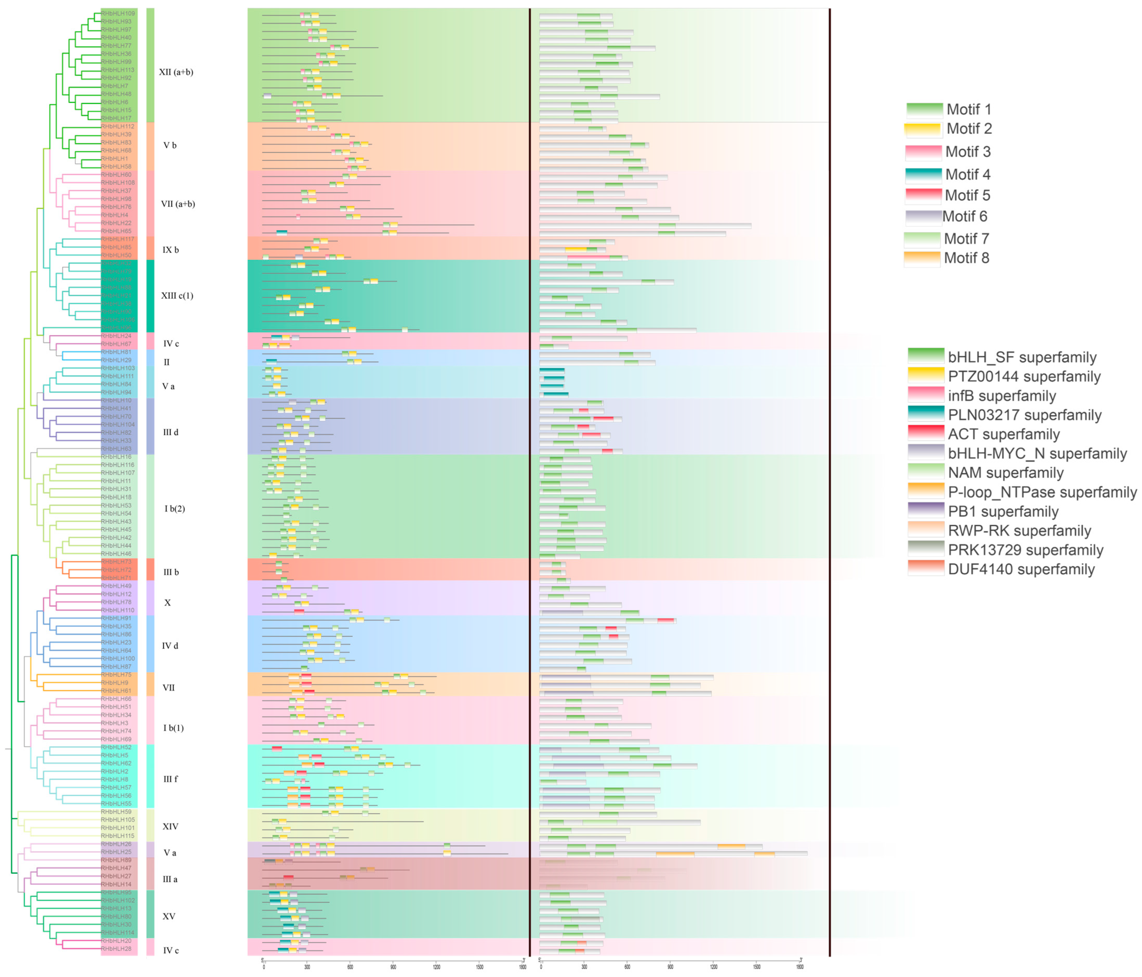 Forests 16 00416 g008