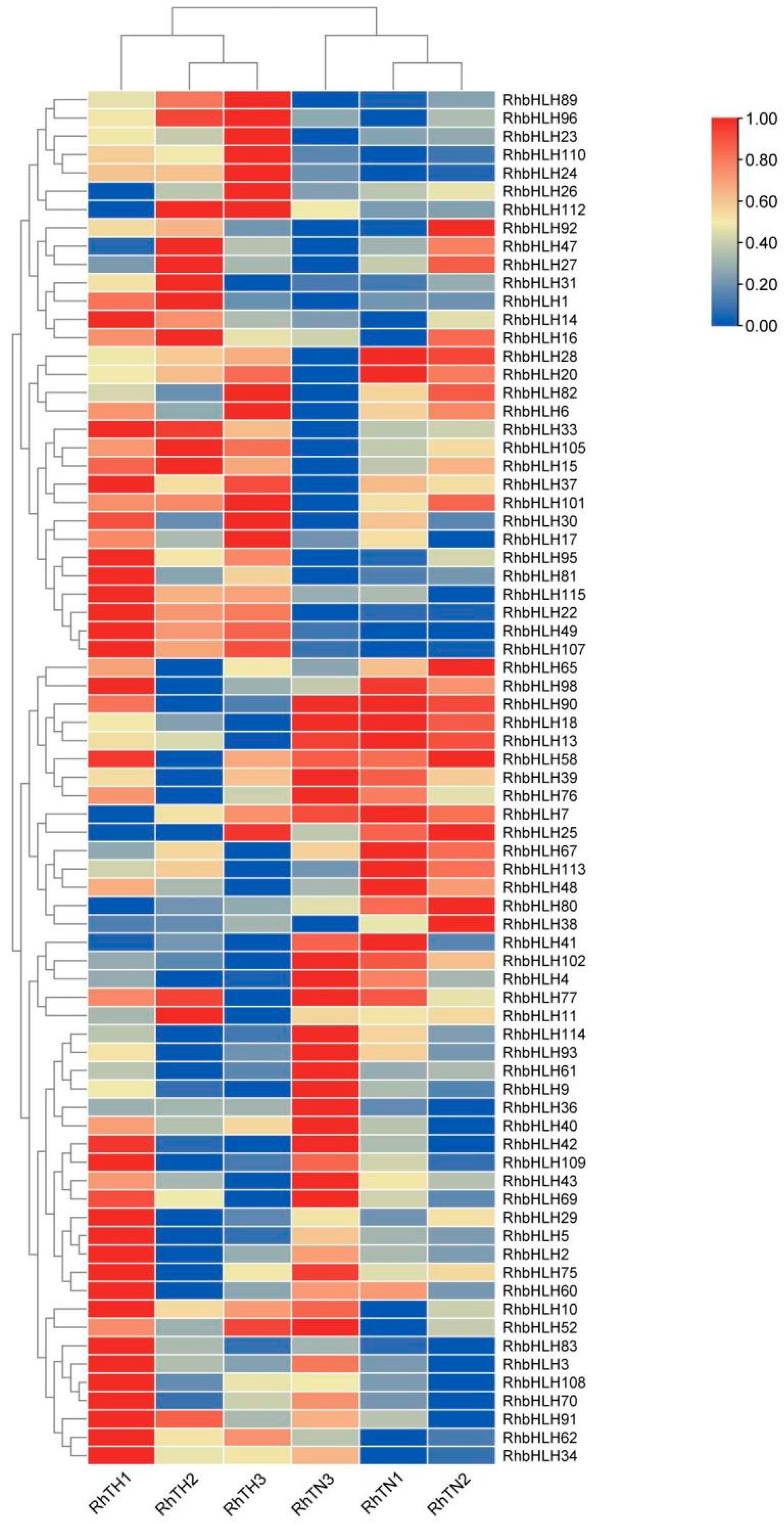 Forests 16 00416 g012