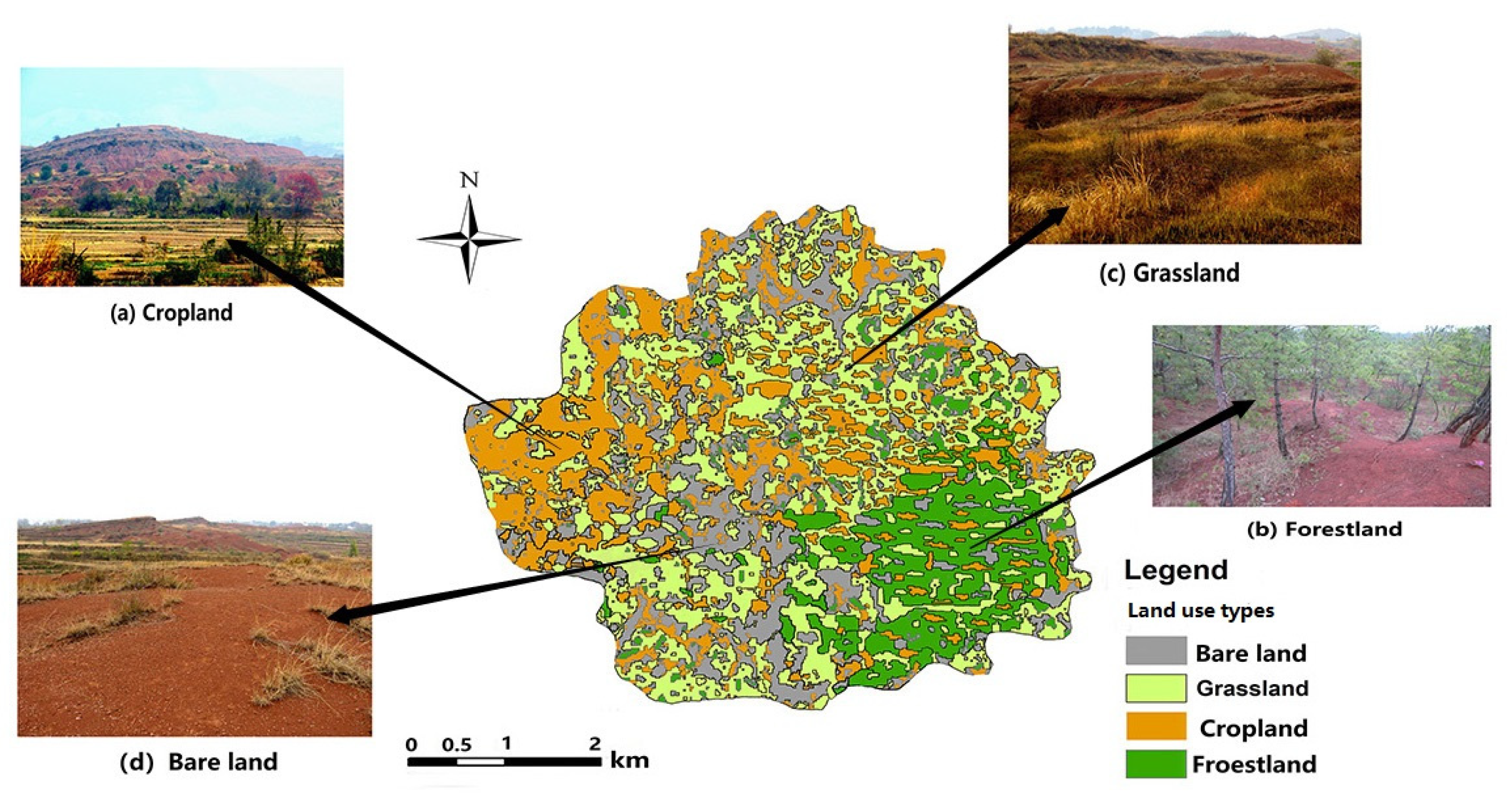 Forests 16 00417 g002