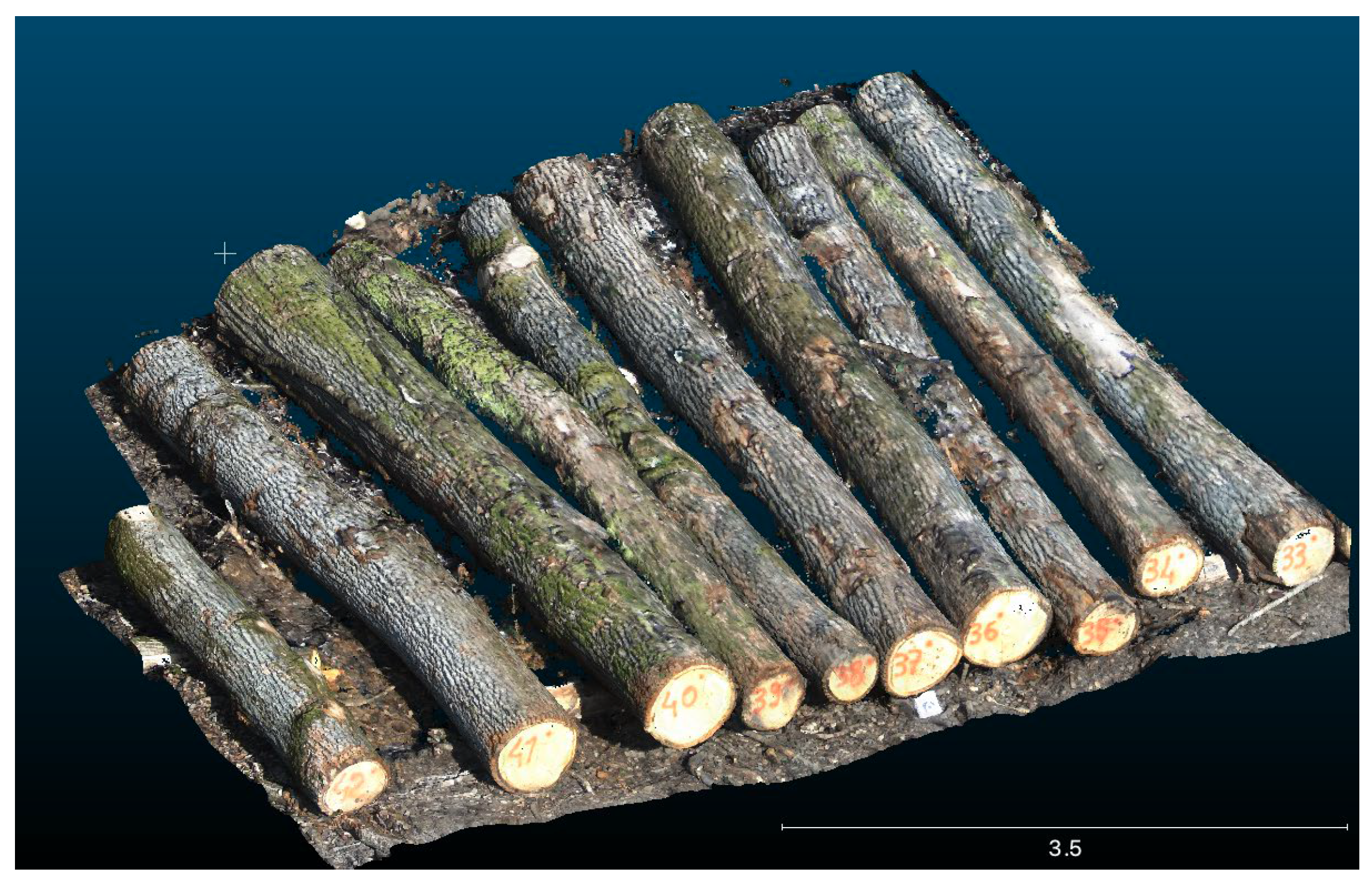 Forests 16 00421 g001 Forests 16 00421 g001