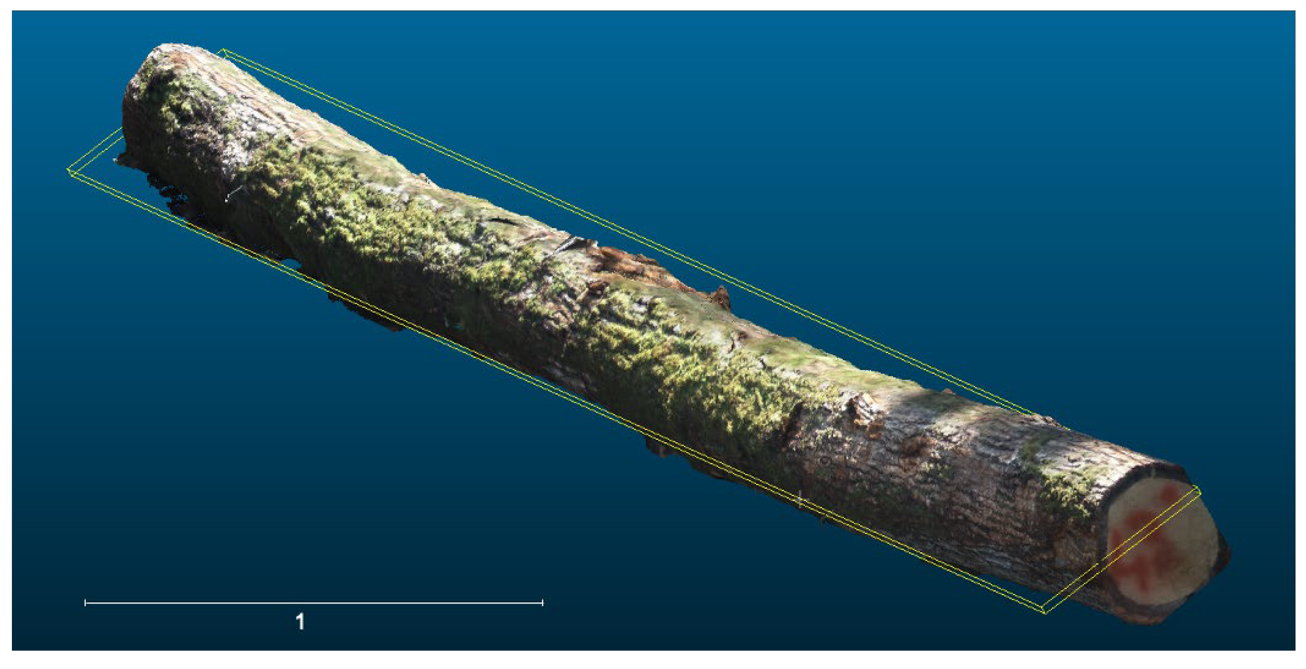 Forests 16 00421 g004 Forests 16 00421 g004