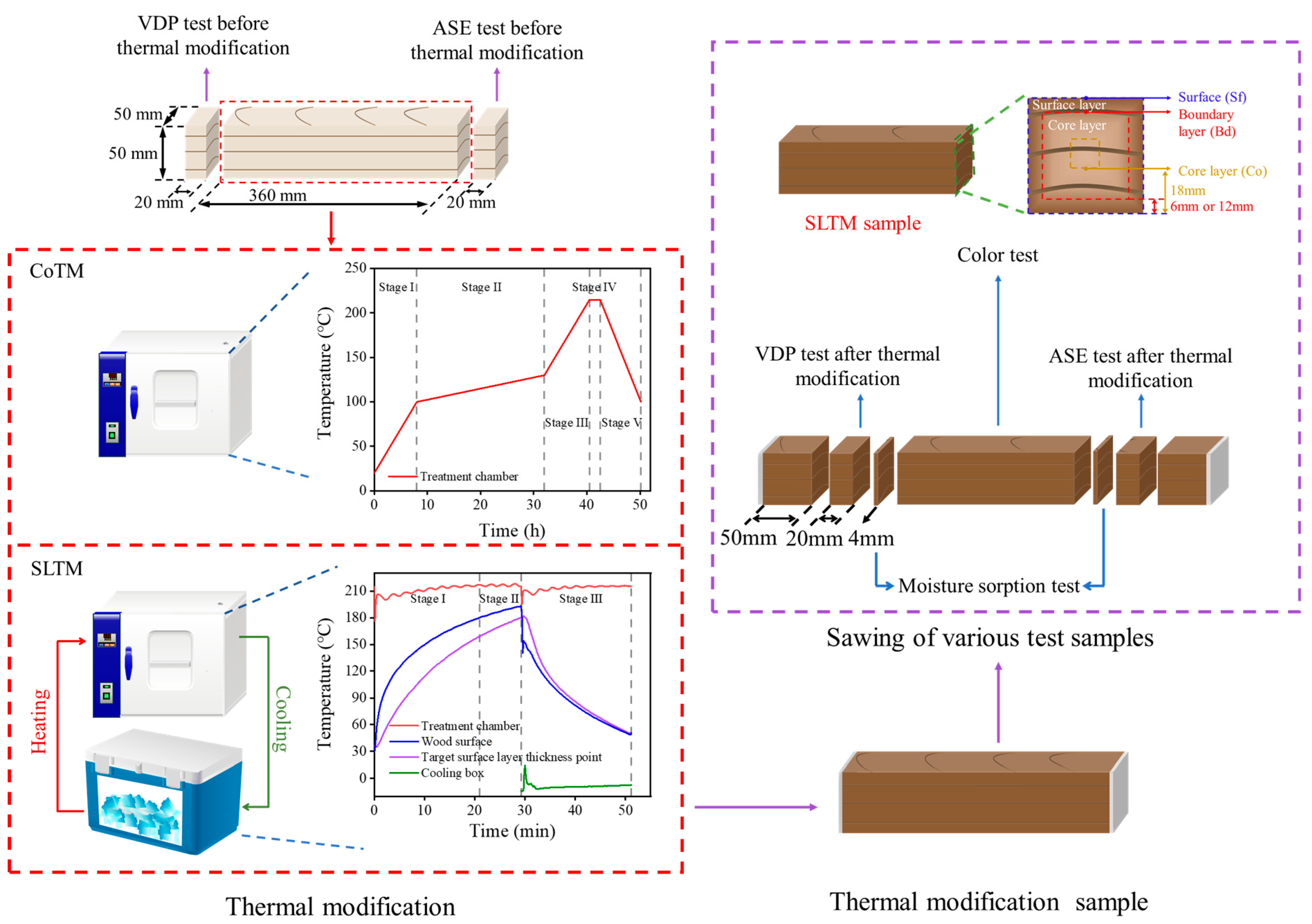 Forests 16 00427 g001