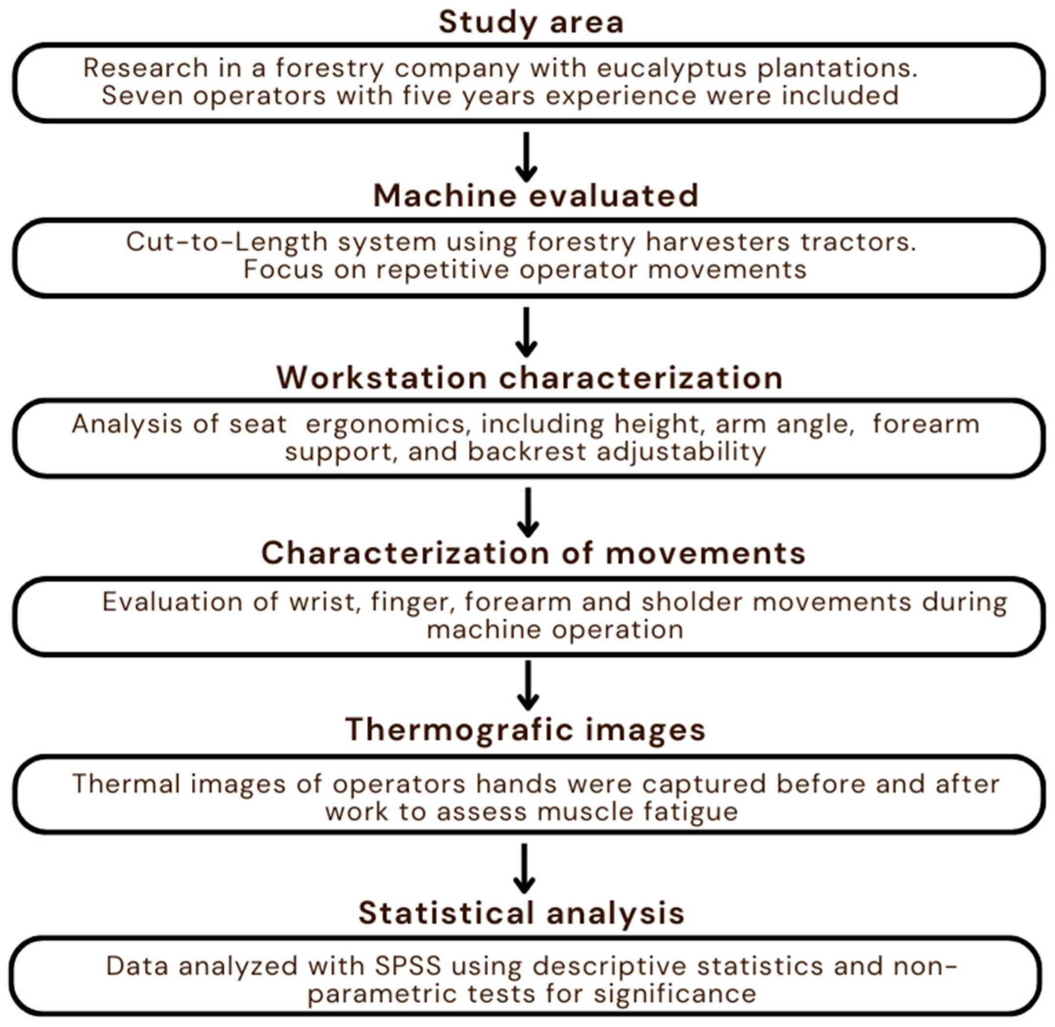 Forests 16 00429 g001