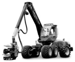 Forests 16 00429 i001