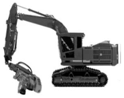 Forests 16 00429 i003