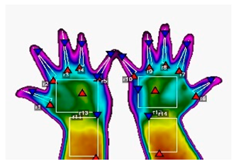 Forests 16 00429 i006