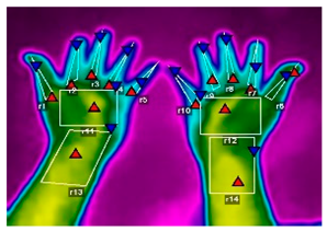 Forests 16 00429 i012