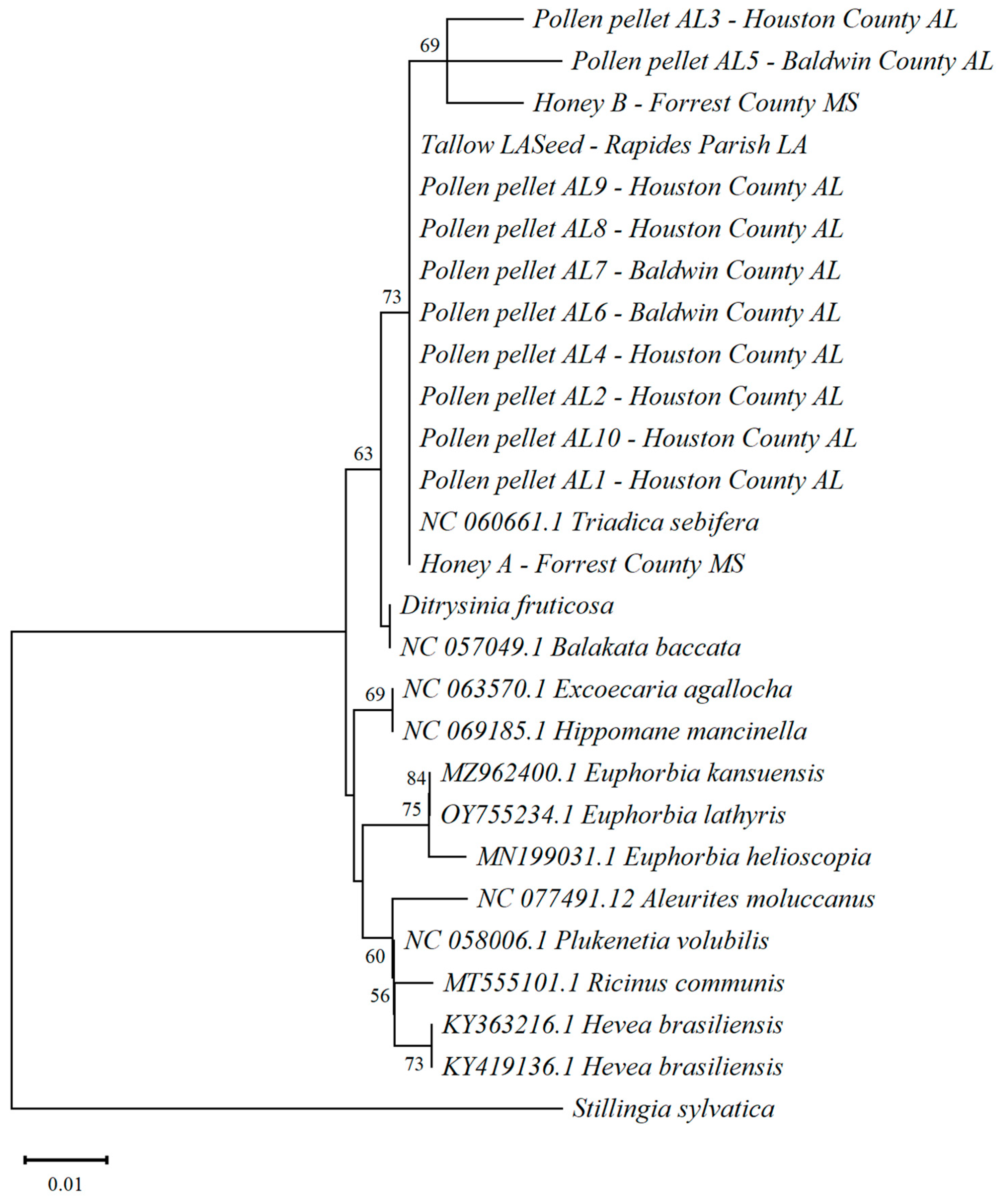 Forests 16 00437 g005