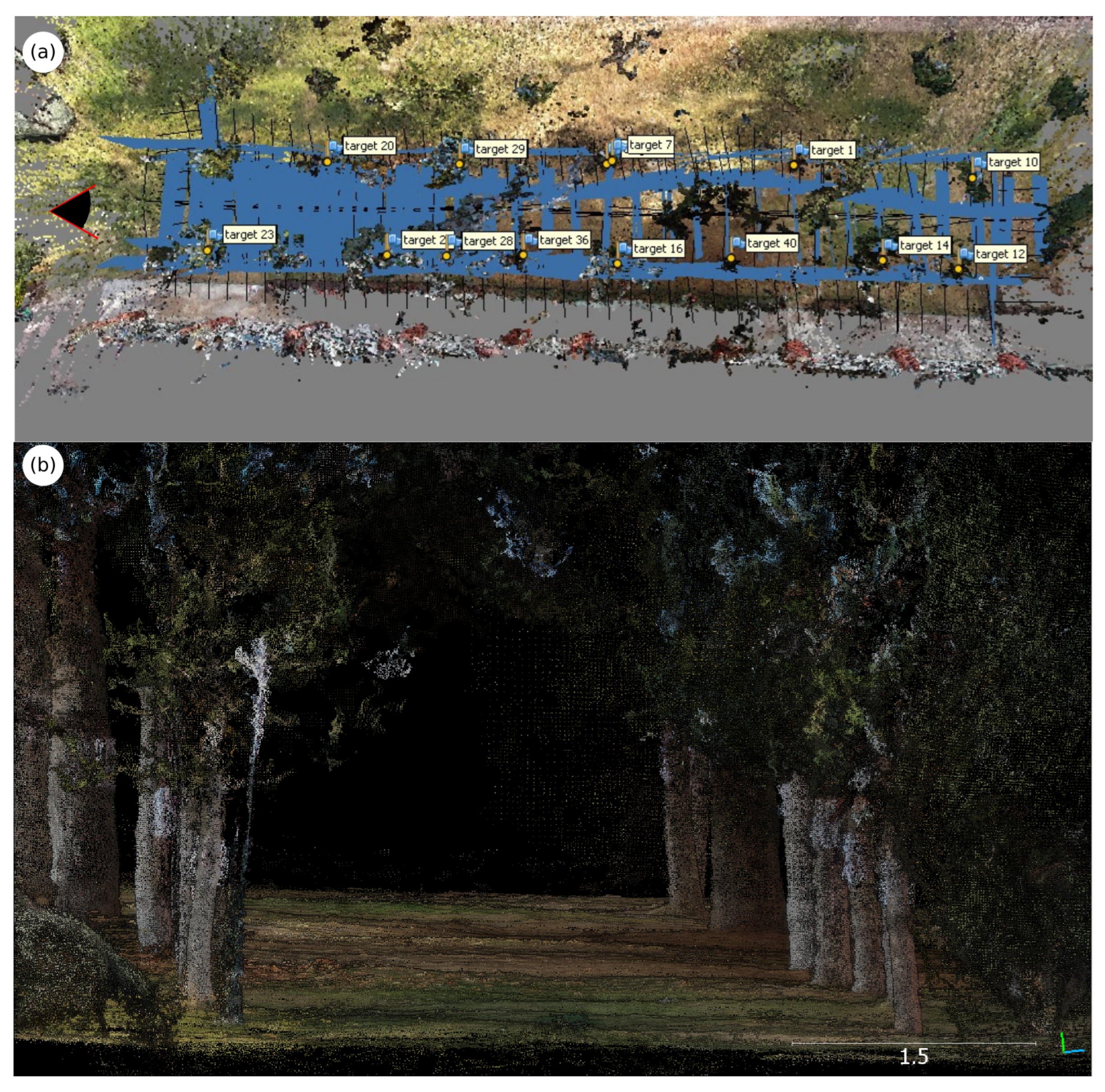 Forests 16 00439 g009