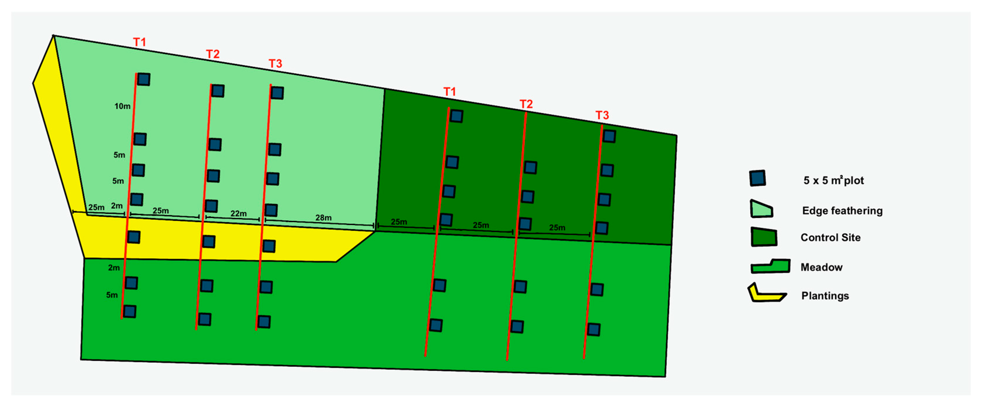 Forests 16 00441 g003