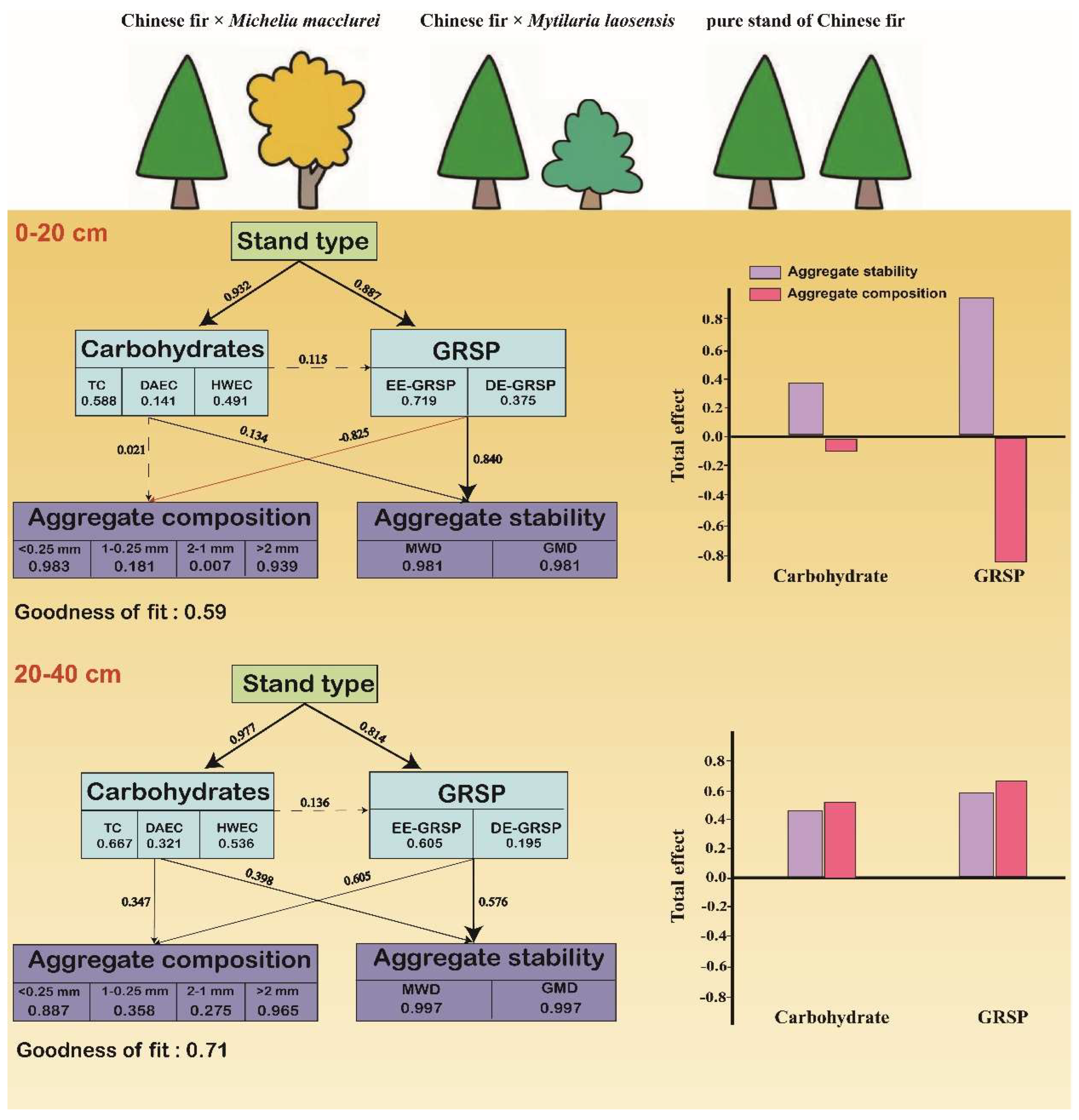 Forests 16 00444 g006