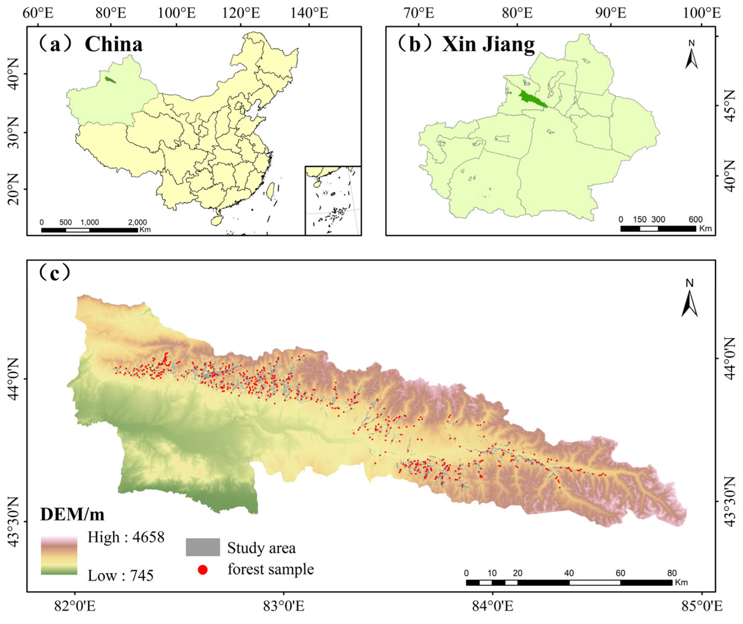 Forests 16 00445 g001