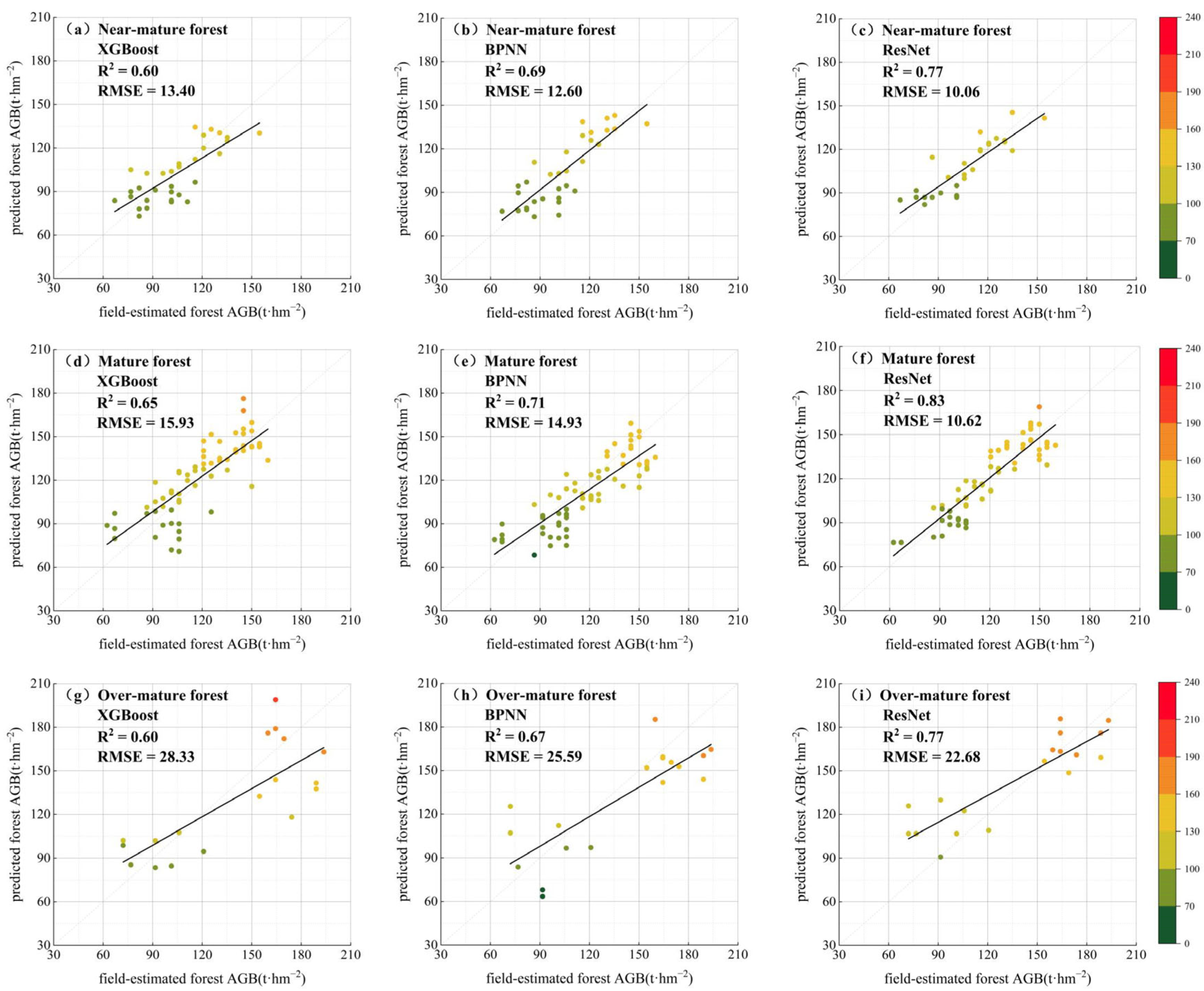 Forests 16 00445 g007