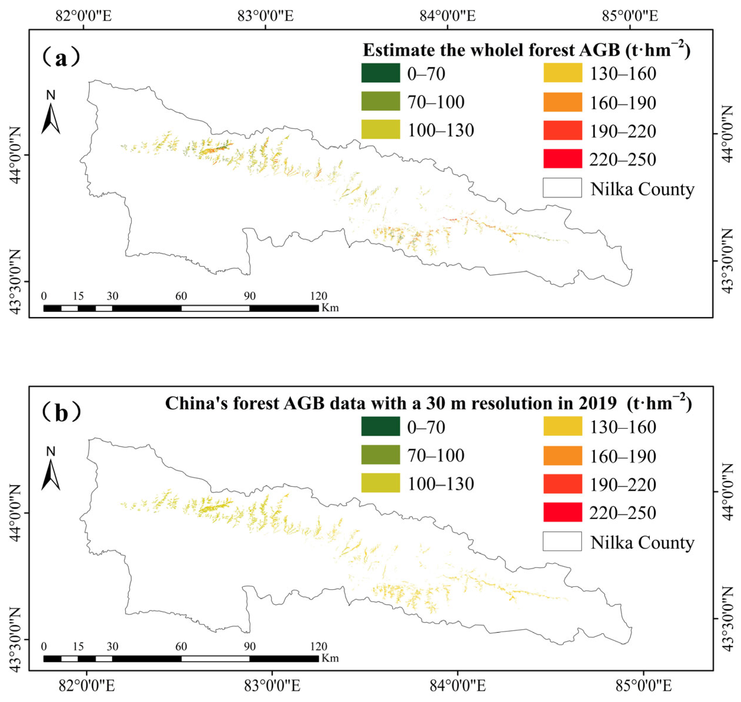 Forests 16 00445 g010