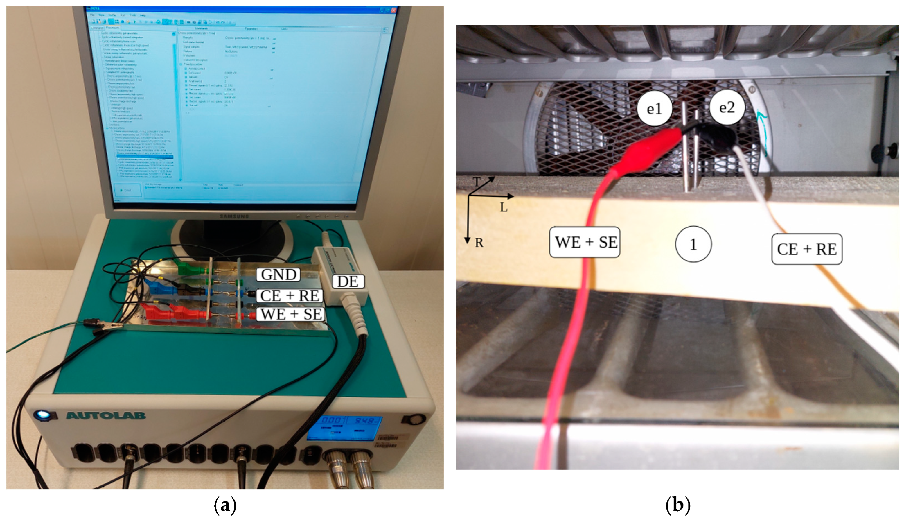 Forests 16 00446 g001
