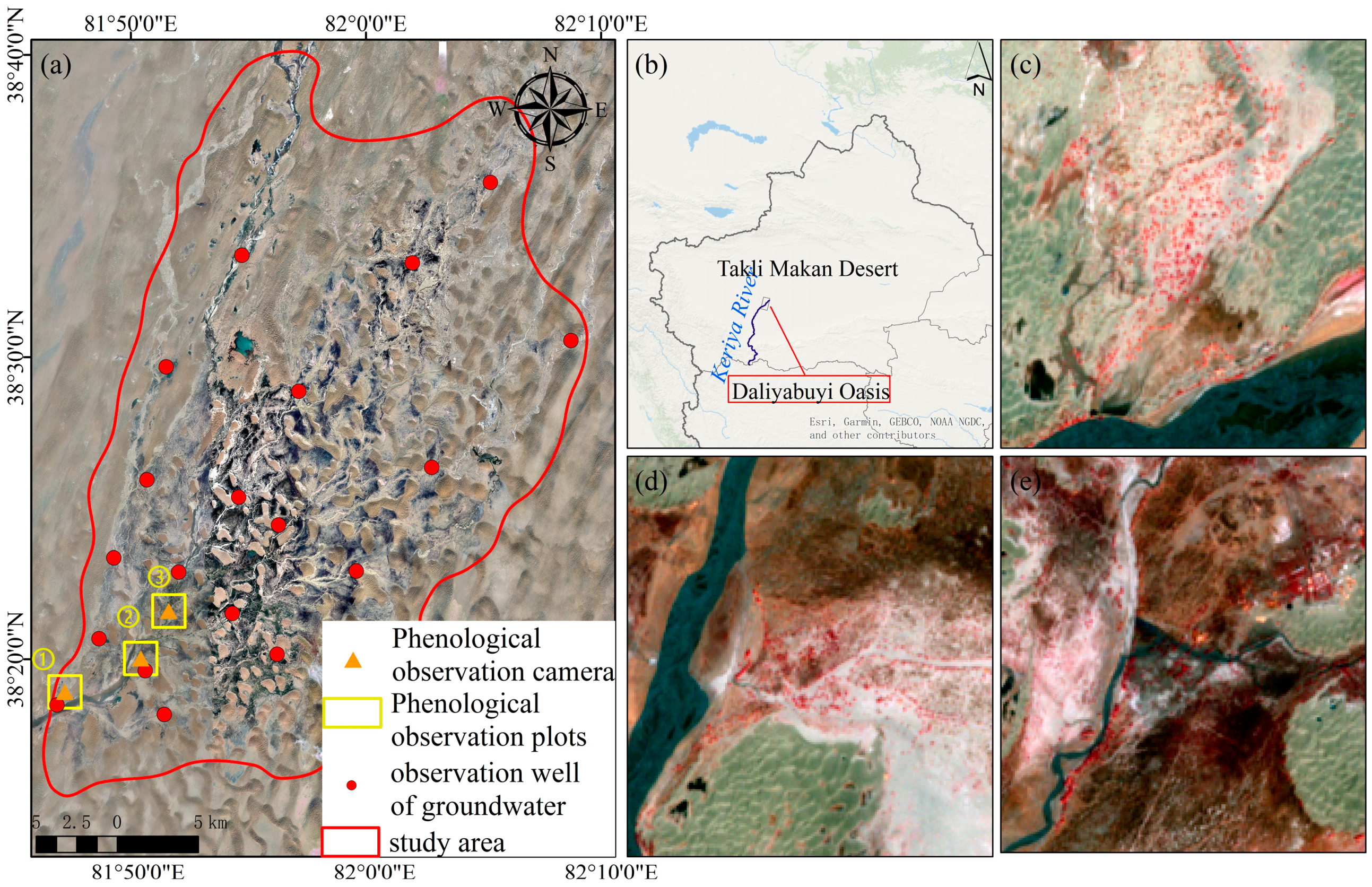 Forests 16 00447 g001