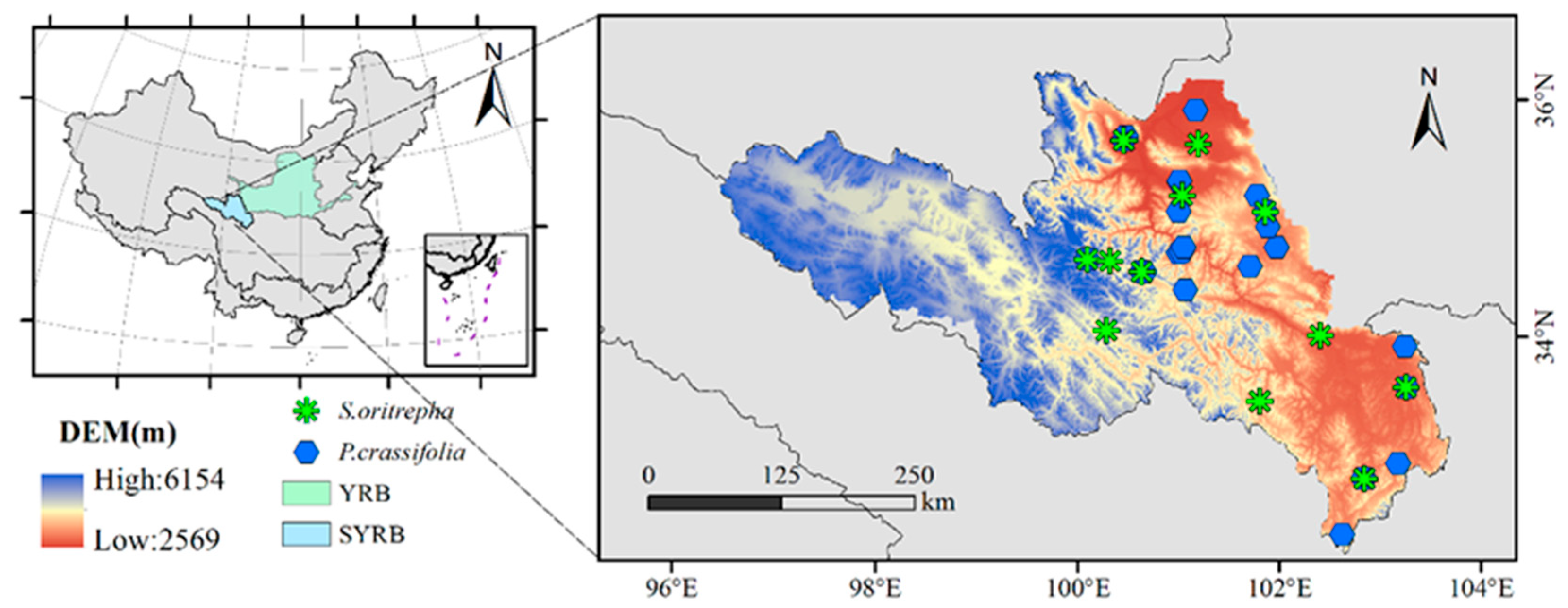 Forests 16 00448 g001