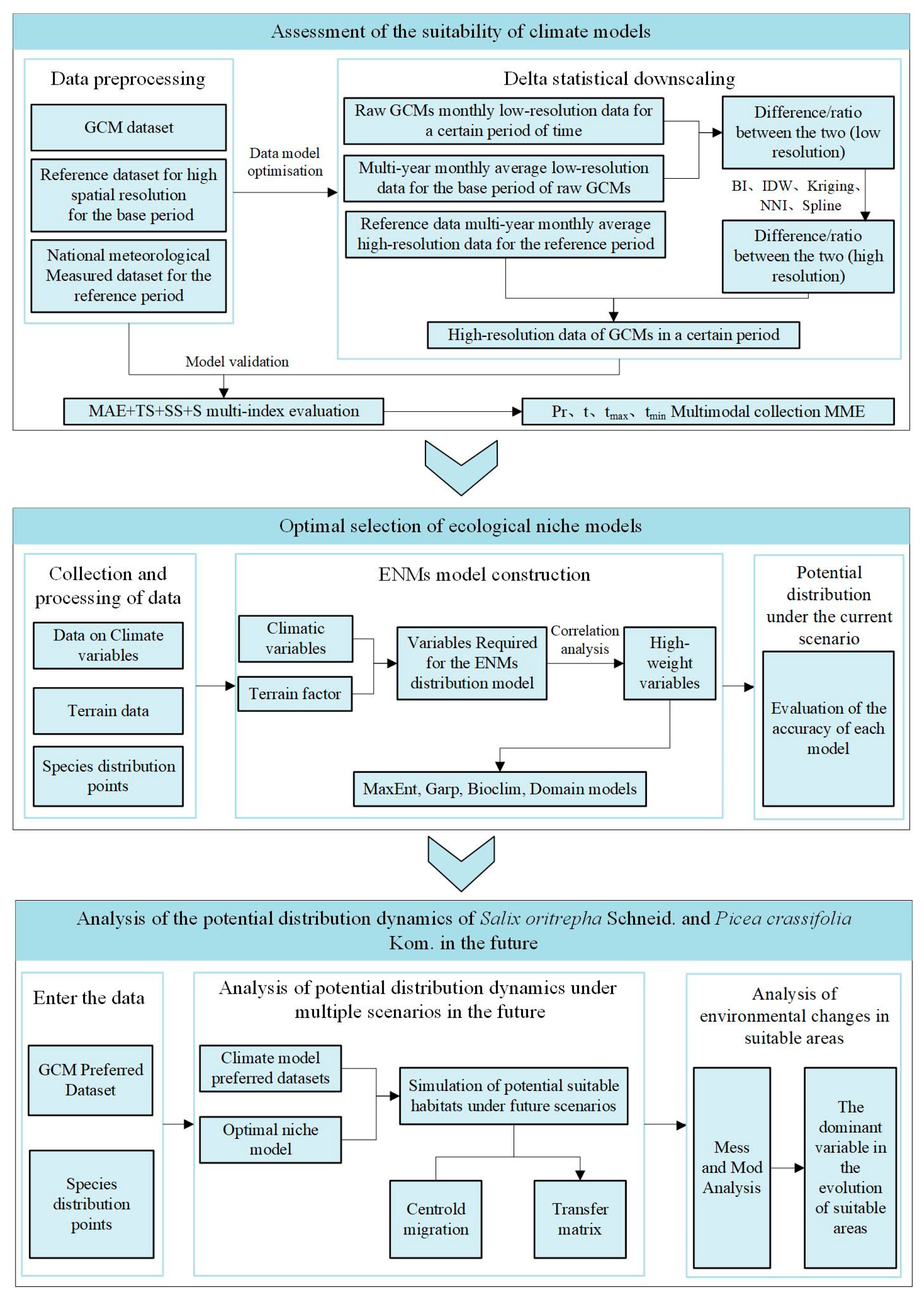 Forests 16 00448 g002